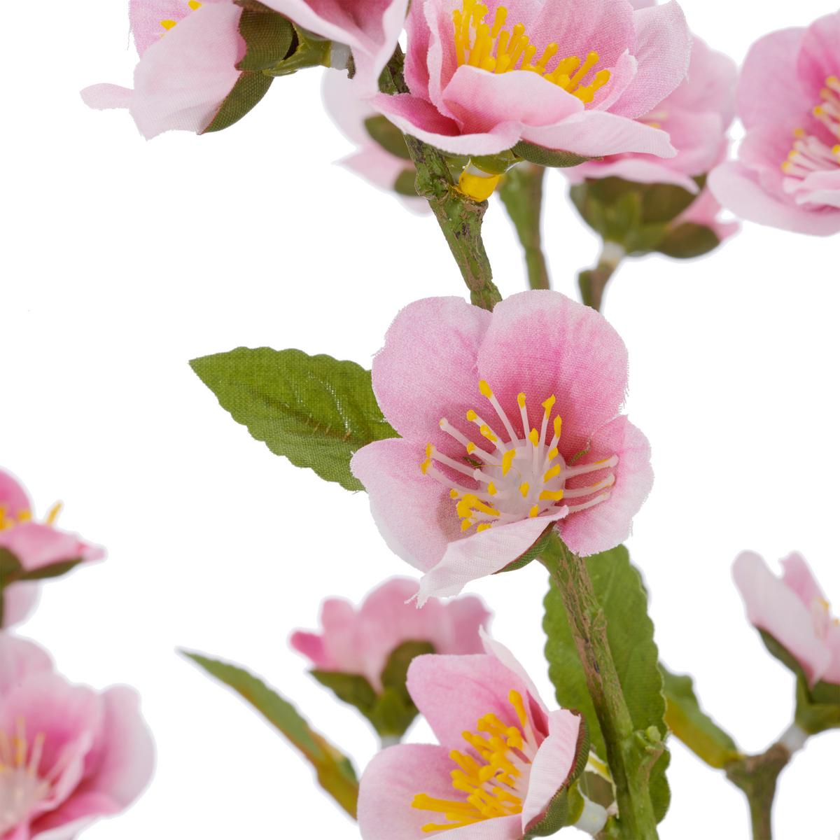 Rozkvitnutá vetvička čerešne Výška 64 cm - čierna/zelená, Basics, kov/plast (64cm) - Mömax