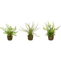 Kunstpflanze Farn H: 22 cm - Braun/Grün, Design, Kunststoff (22cm) - P & B