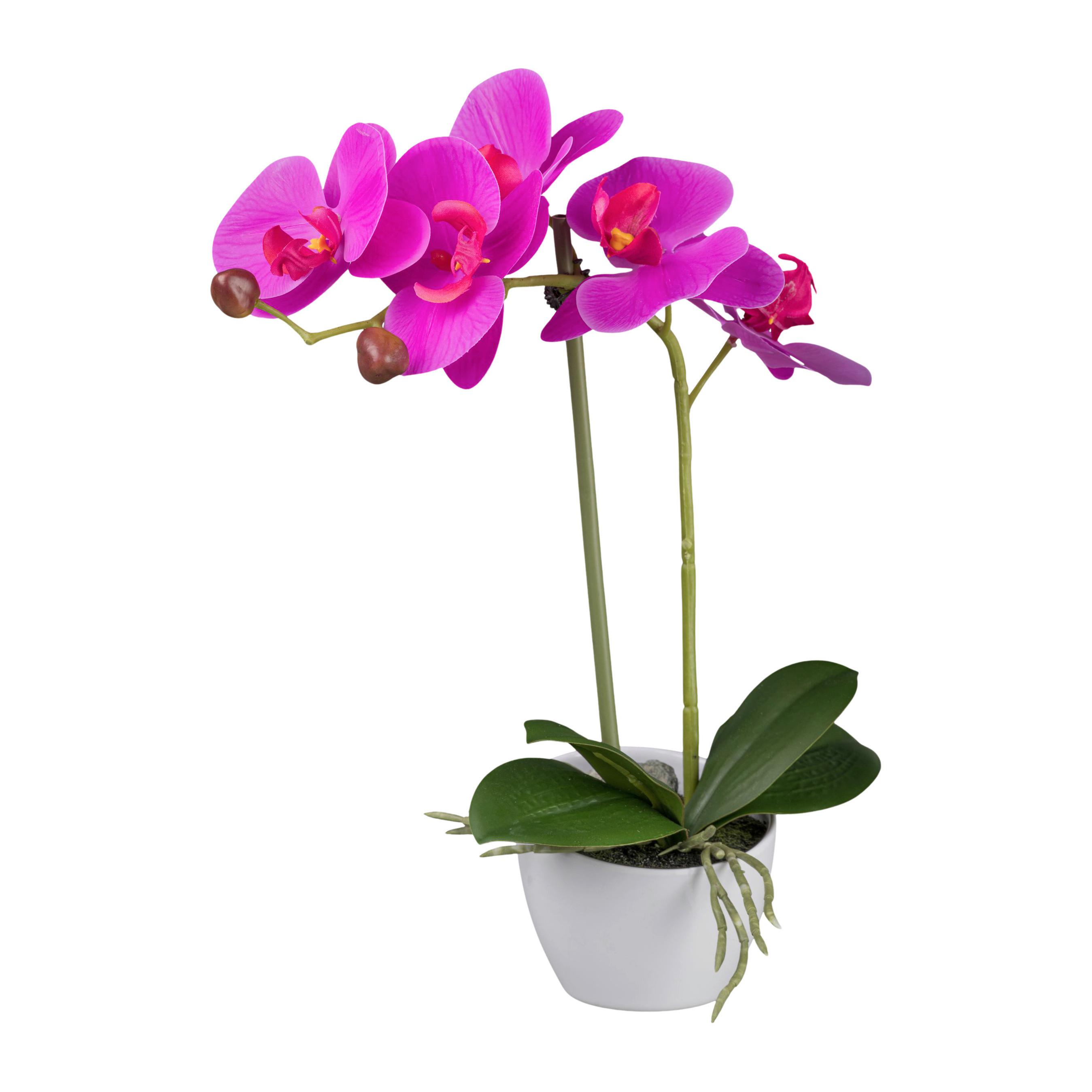 Kunstpflanze Orchideen Pink, Topf: Weiß, H: 33 cm - Pink/Weiß, Design, Kunststoff (33cm) - P & B