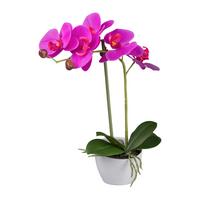 Kunstpflanze Orchideen Pink, Topf: Weiß, H: 33 cm - Pink/Weiß, Design, Kunststoff (33cm) - P & B
