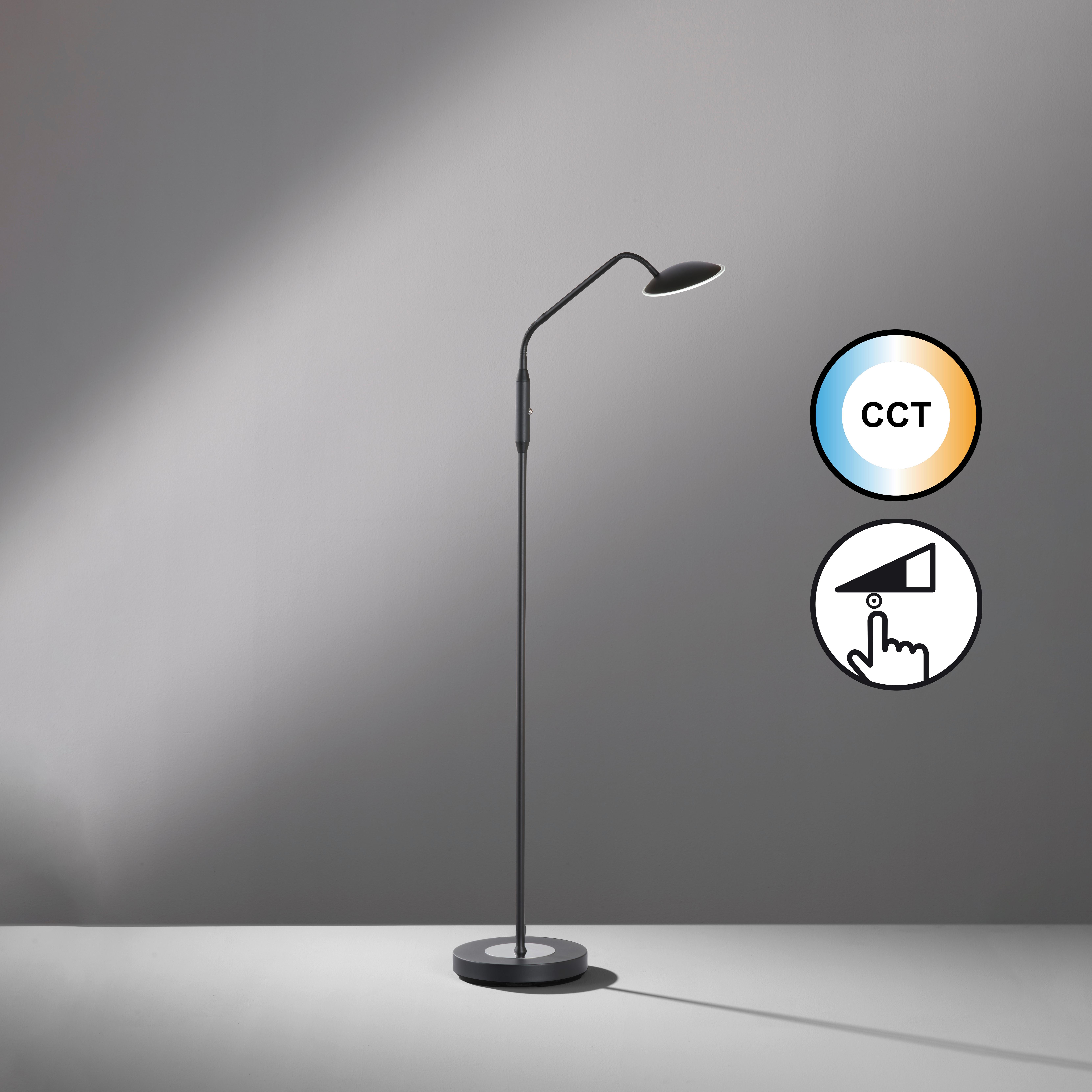 LED-Stehleuchte 40485 Tallri - Sandfarben/Schwarz, KONVENTIONELL, Metall (23/135cm) - Fischer & Honsel
