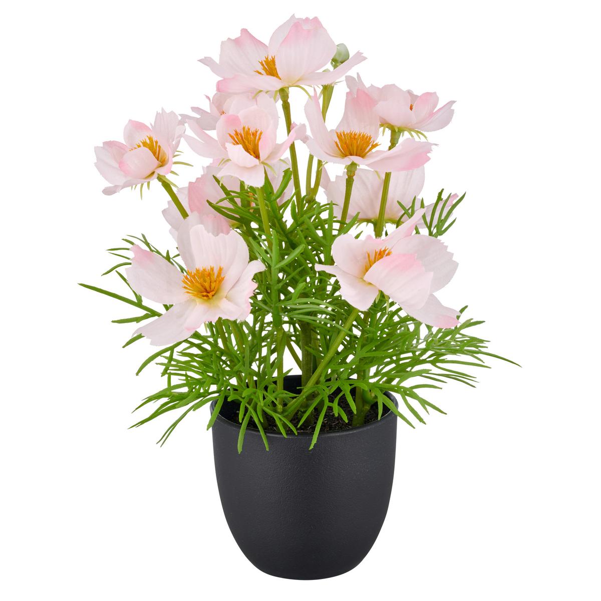 Kunstpflanze Herbstblumen - Gelb/Rot, Basics, Kunststoff (60/160/80cm)