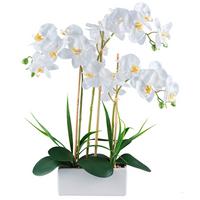 Kunstpflanze Phalaenopsis - Weiß/Grün, Basics, Keramik/Kunststoff (58cm)