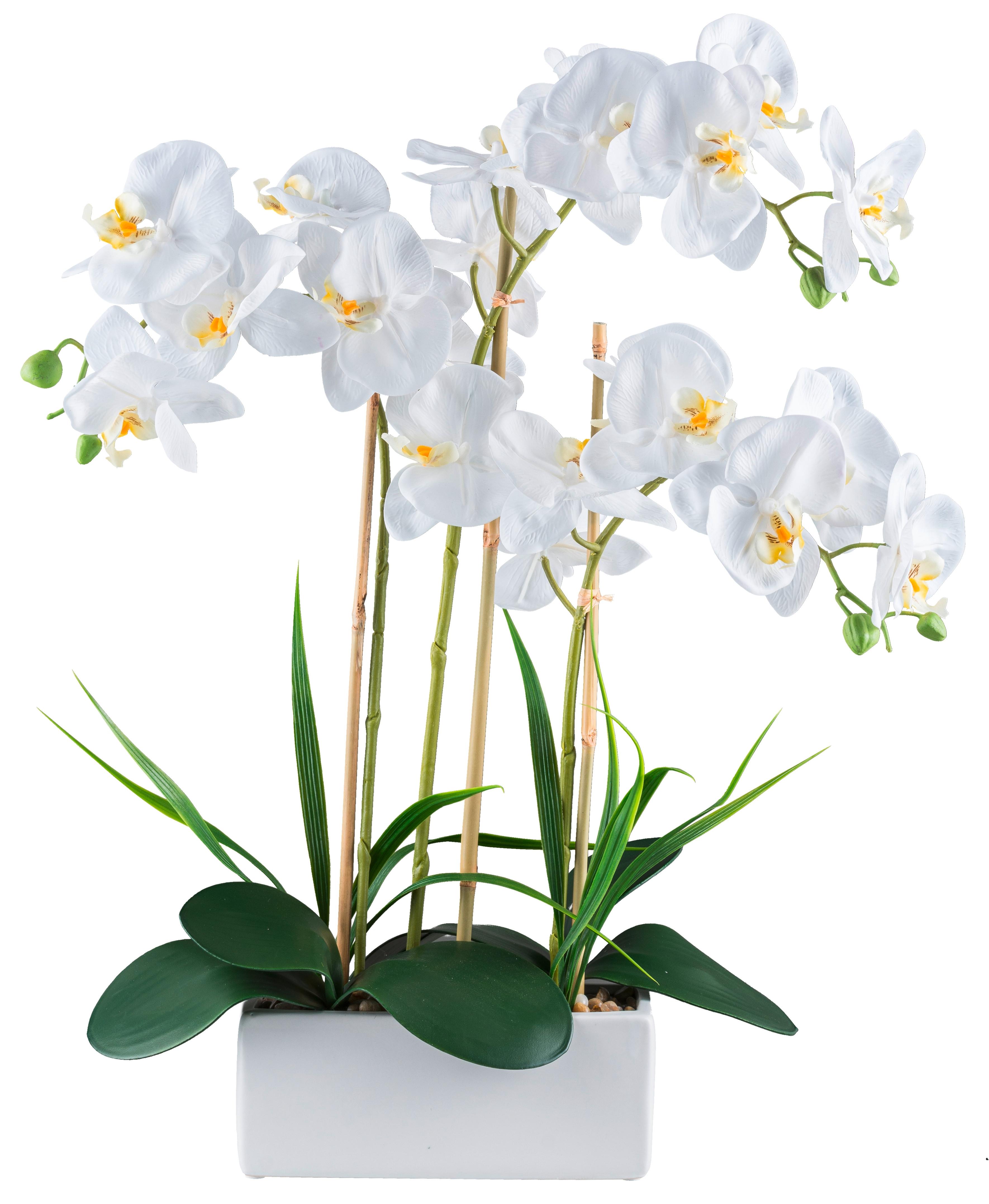 Kunstpflanze Phalaenopsis