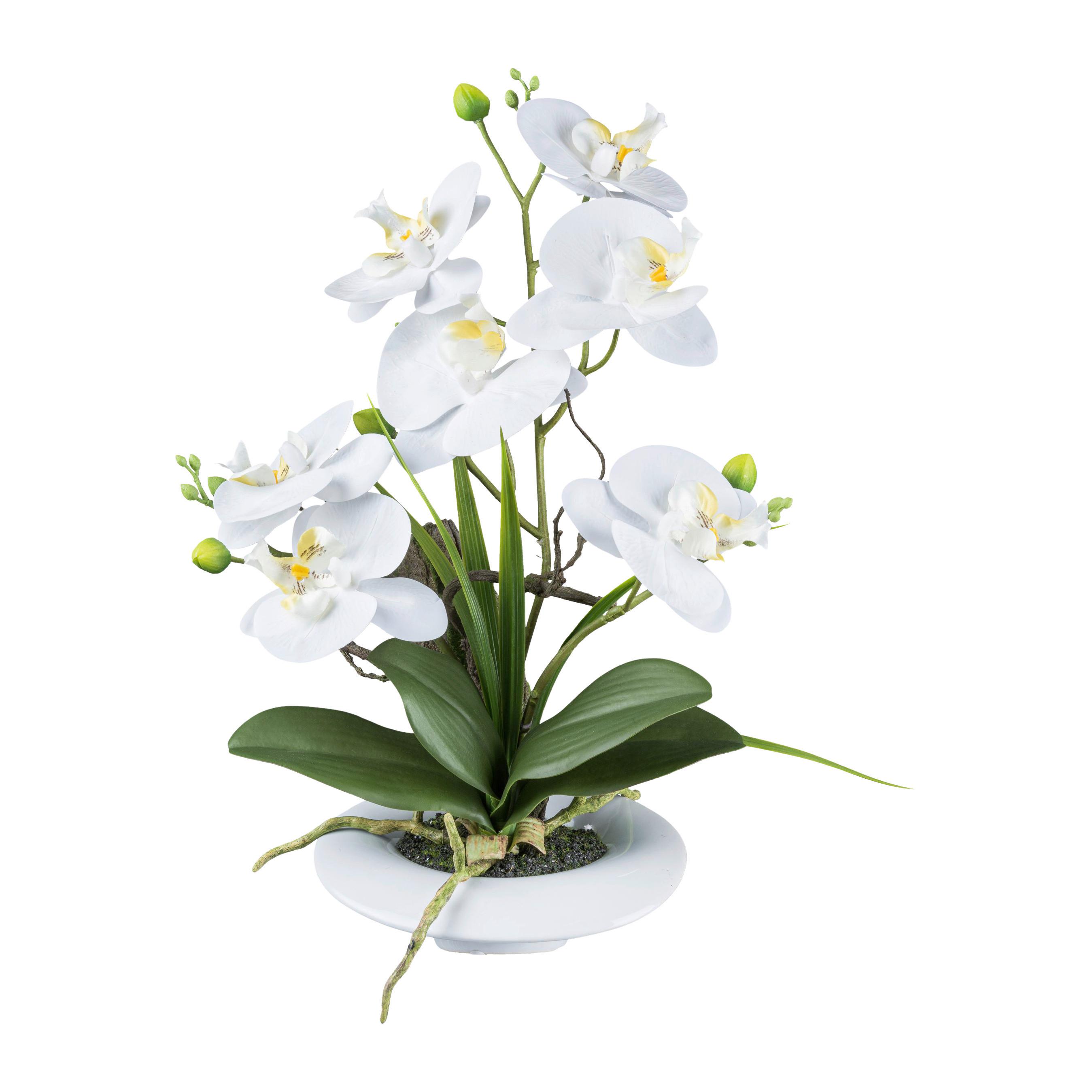 Kunstpflanze Orchideen Weiß, Topf: Weiß, H: 41 cm - Weiß/Grün, Design, Keramik/Kunststoff (41cm) - P & B