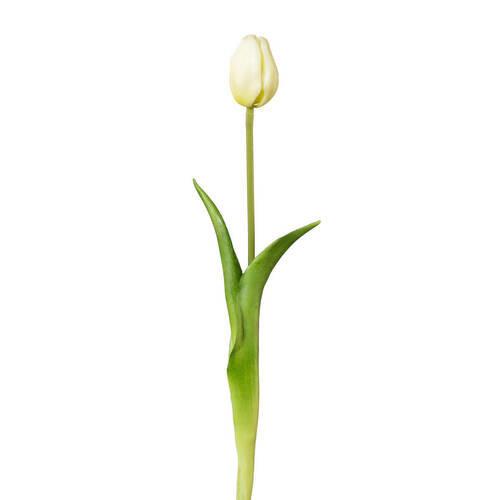 Tulipán Celiceú - fehér/zöld, Basics, műanyag (44cm)