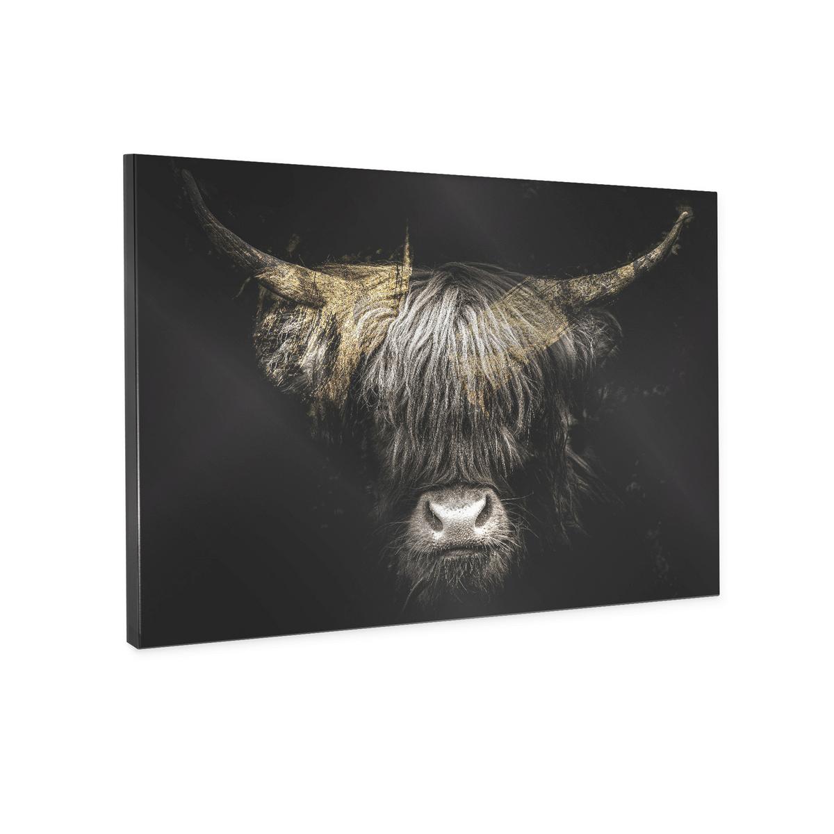 OBRAZ NA PLÁTNE KYLOE - viacfarebná/čierna, Basics, drevo/textil (85/113cm)