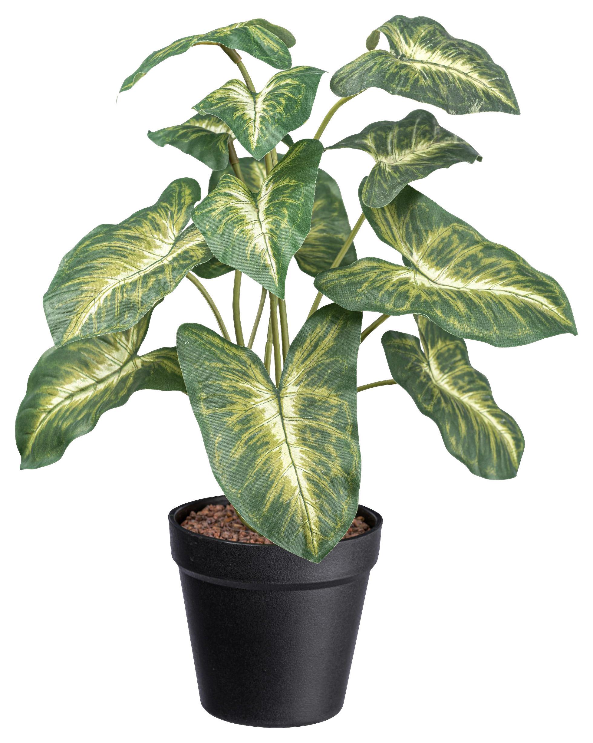 Umelá rastlina V: 38cm - čierna/zelená, Basics, plast (38cm) - Modern Living