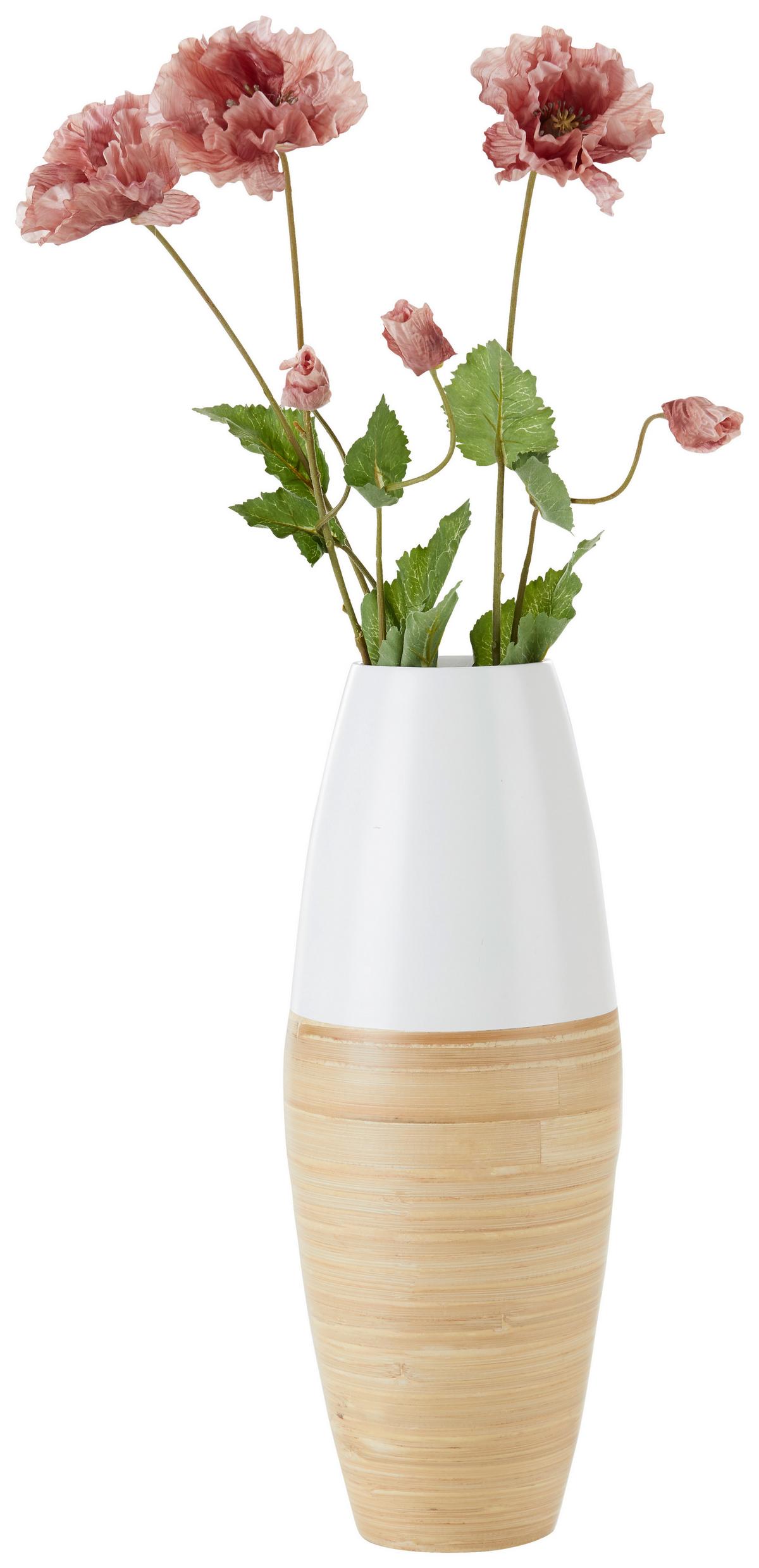 VÁZA NATURELLE - biela/prírodná farba, Lifestyle, drevo (19/50cm) - Zandiara