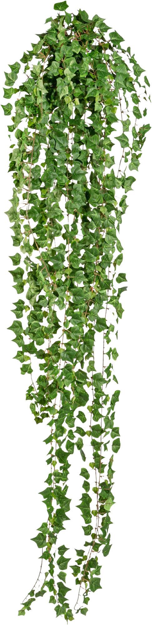 Kunstpflanze Hängepflanze Grün, 180 cm - Grün, Design, Kunststoff (180cm)