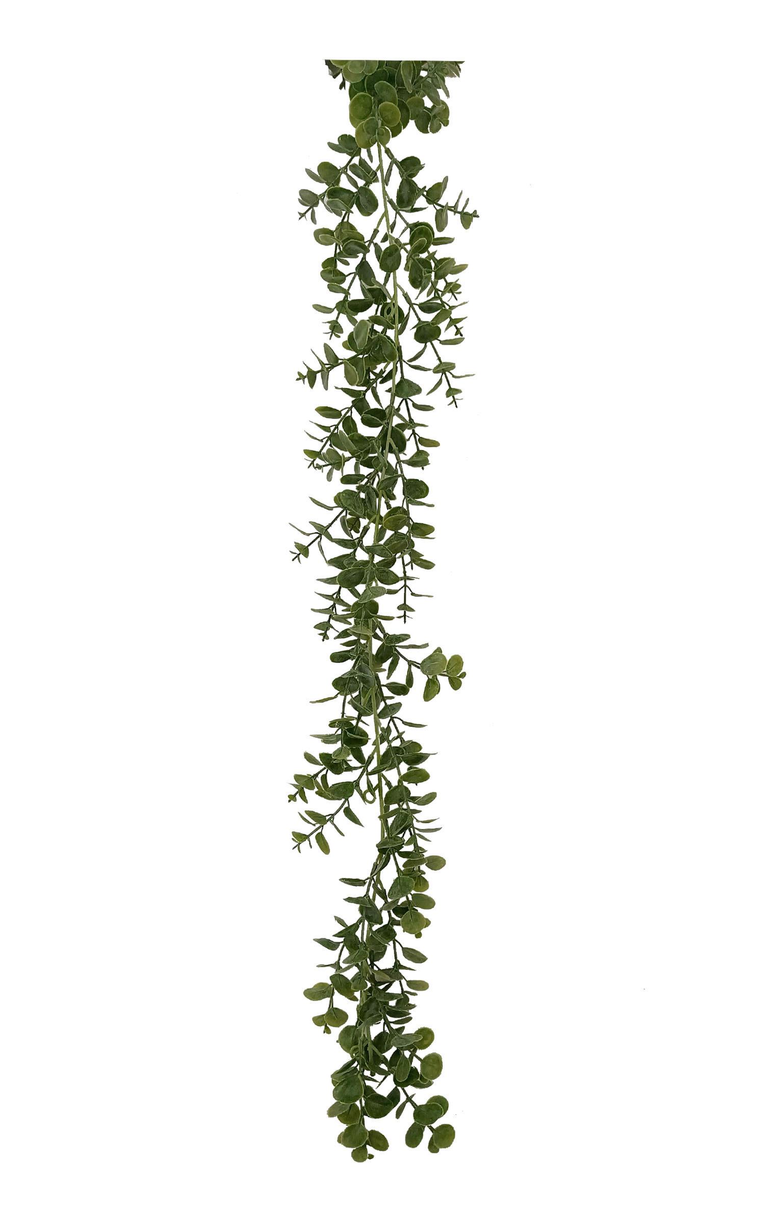 Kunstpflanze Kurt - Grün, MODERN, Kunststoff (178/8/5cm) - Luca Bessoni