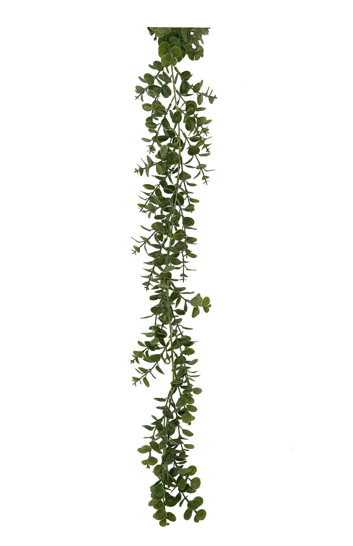 Kunstpflanze Kurt - Grün, MODERN, Kunststoff (178/8/5cm) - Luca Bessoni