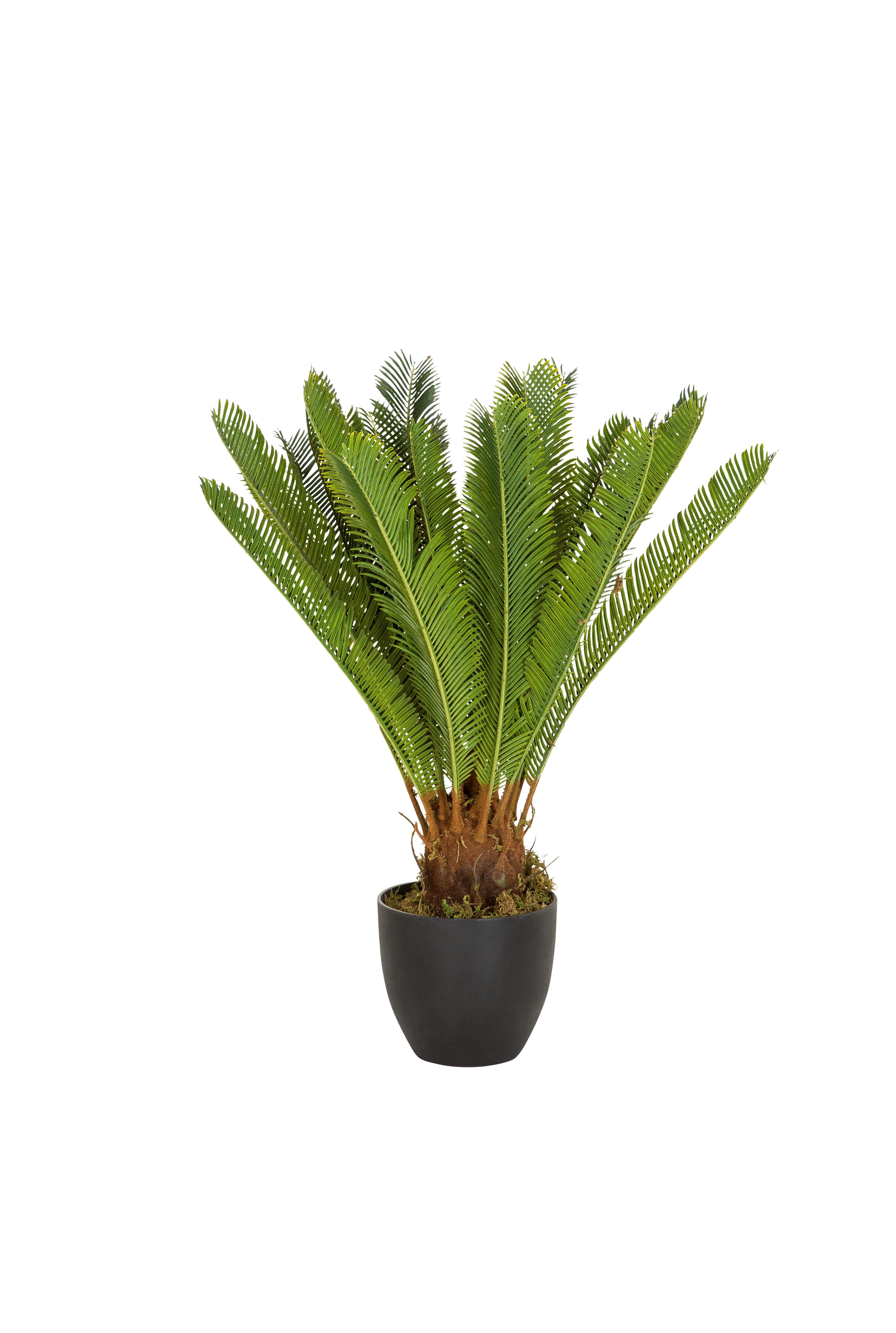 Kunstpflanze Cycas - Schwarz/Grün, Basics, Kunststoff/Textil (70/70/70cm) - MID.YOU