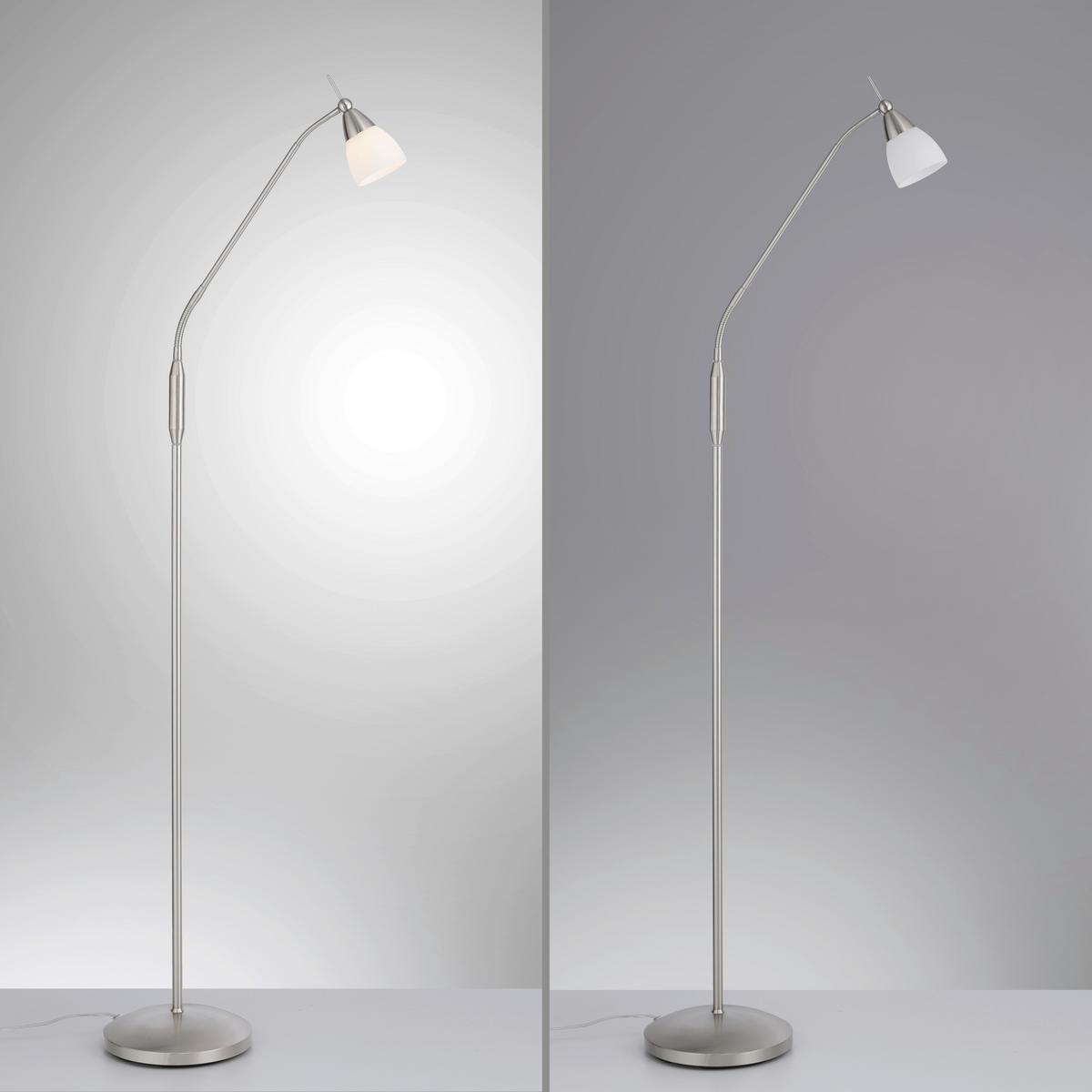 LED-Stehleuchte 400-55 Pino - Edelstahlfarben, Basics, Glas/Metall (74/74/163cm) - Paul Neuhaus
