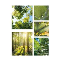 Leinwandbild Grüne Stille - Grün, Basics, Wellpappe/Textil (80/60/3cm)
