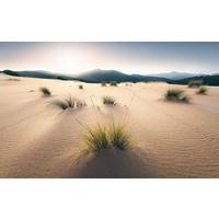 Fototapete Vivid Dunes - Multicolor, Trend, Textil (450/280cm)