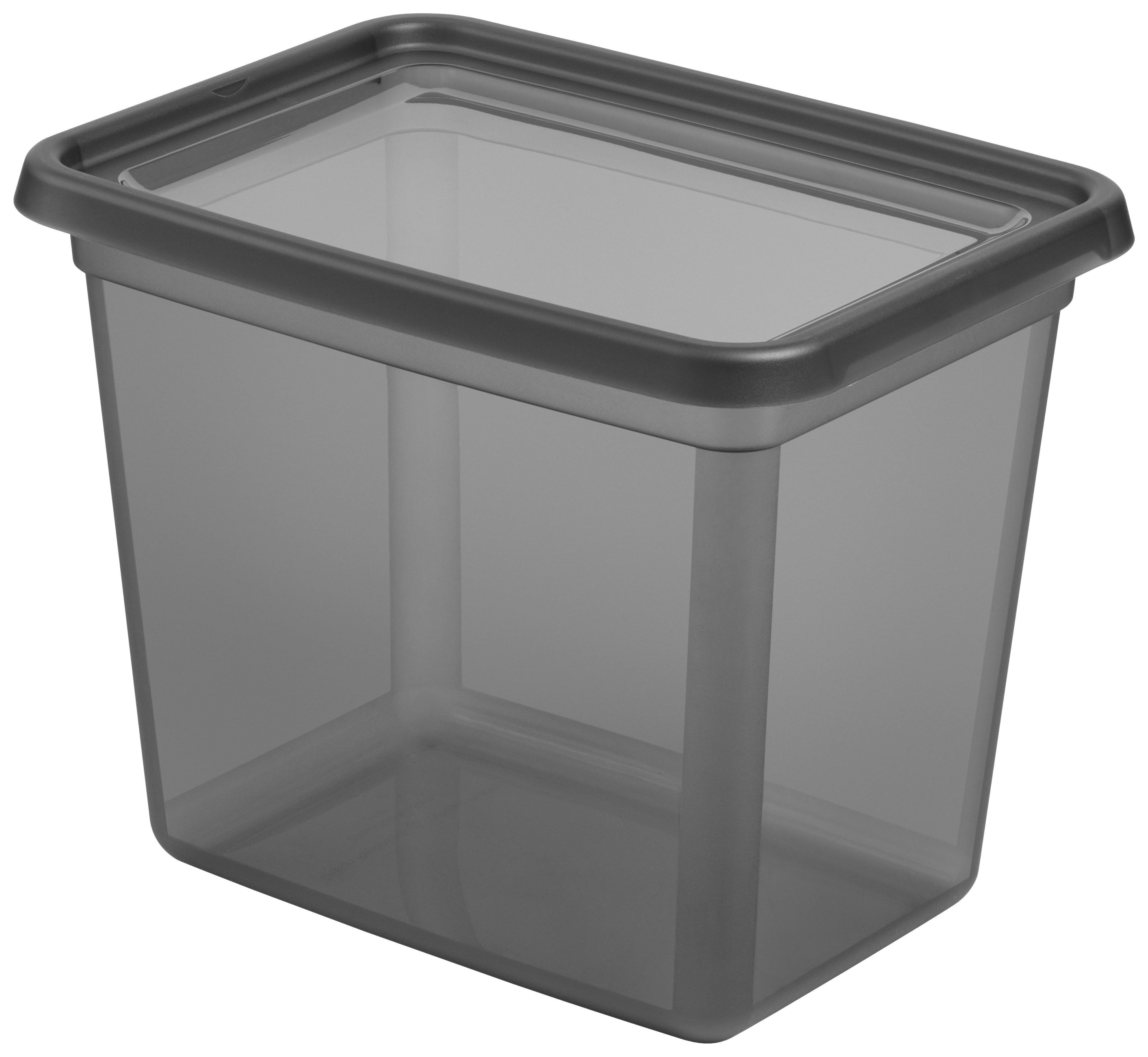 ÚLOŽNÝ BOX BLACKY - CA. 20 L - černá/průhledné, Moderní, plast (28/38/30cm) - Mömax