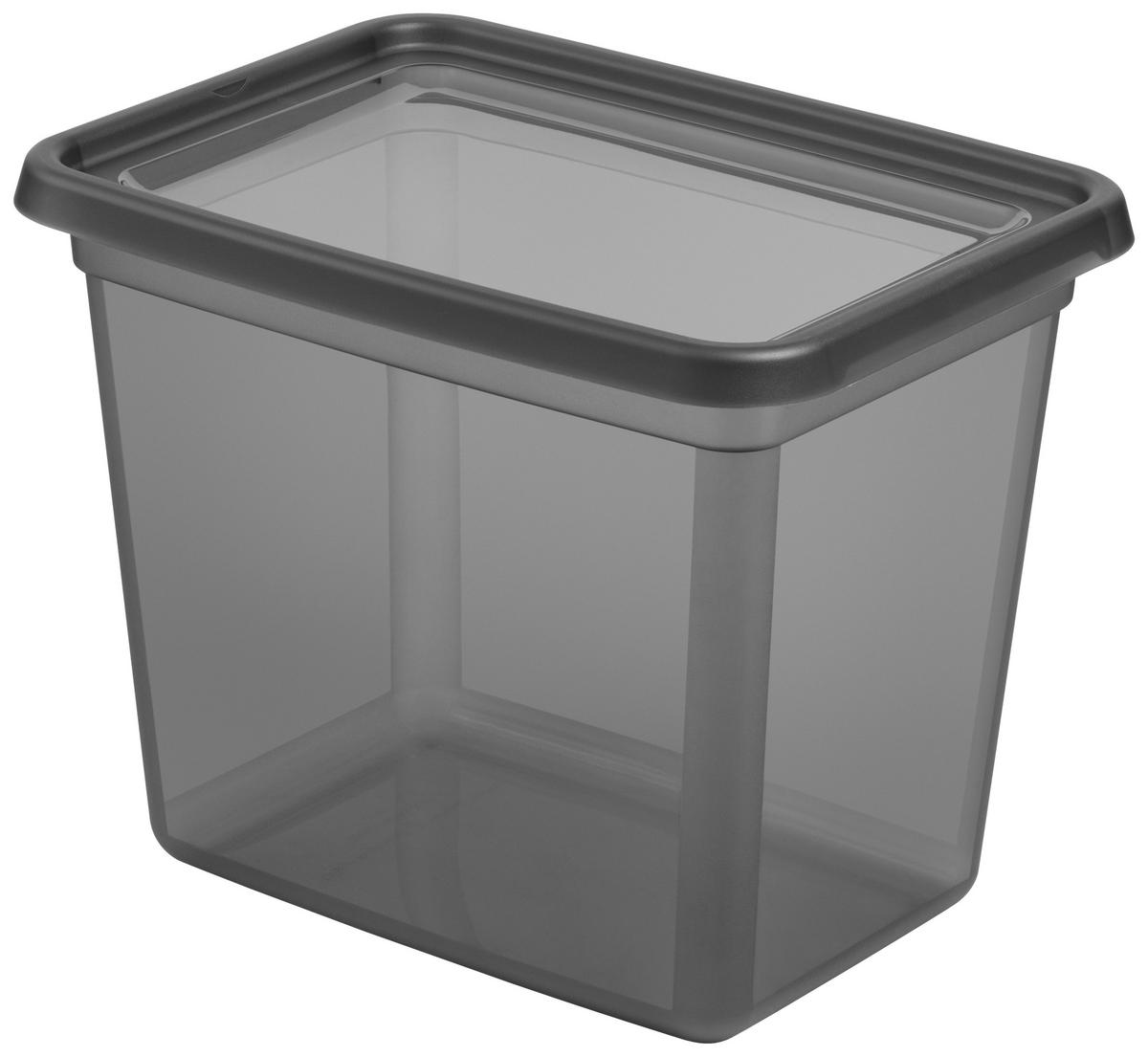 ÚLOŽNÝ BOX BLACKY - CA. 20 L - černá/průhledné, Moderní, plast (28/38/30cm) - Mömax