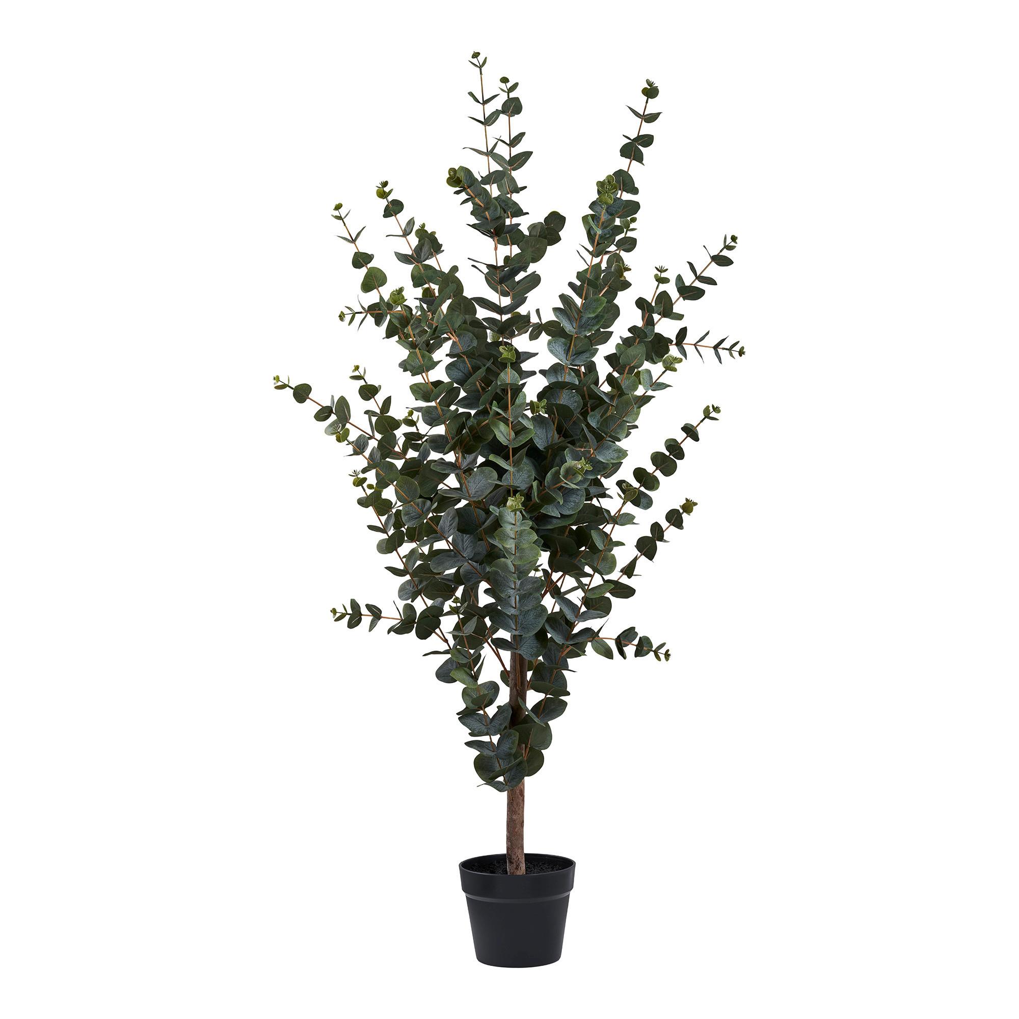 KUNSTPFLANZE Eucalyptus Grün B: 46 cm - Grün, Design (46/120/36cm)