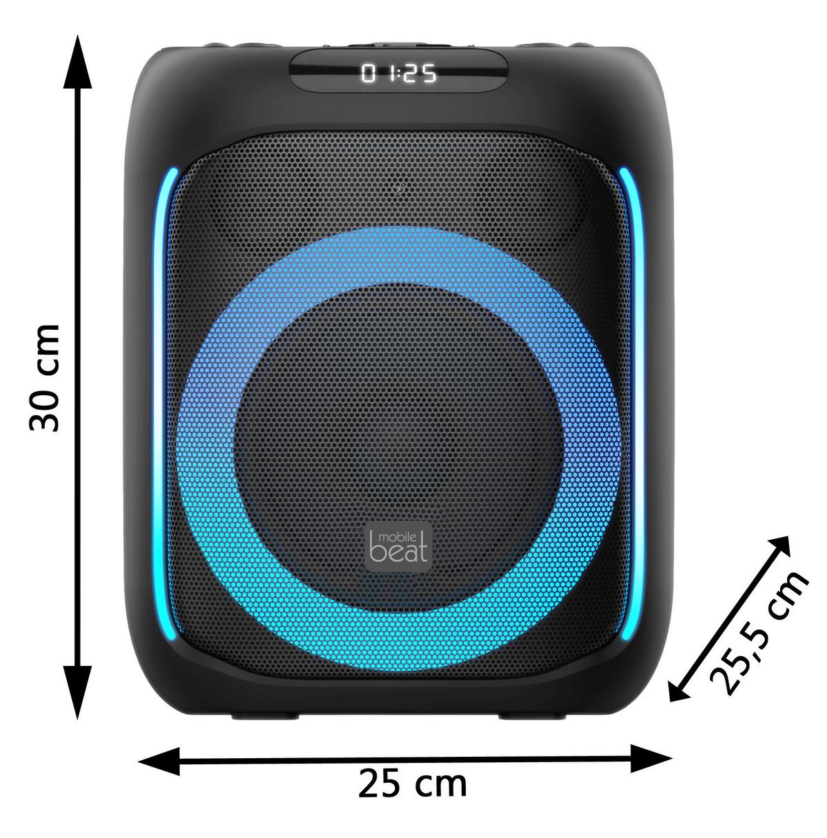 Lautsprecher Sb-Tws 100 Bt - Schwarz, Basics, Kunststoff (25/30/25.3cm) - Silva Schneider
