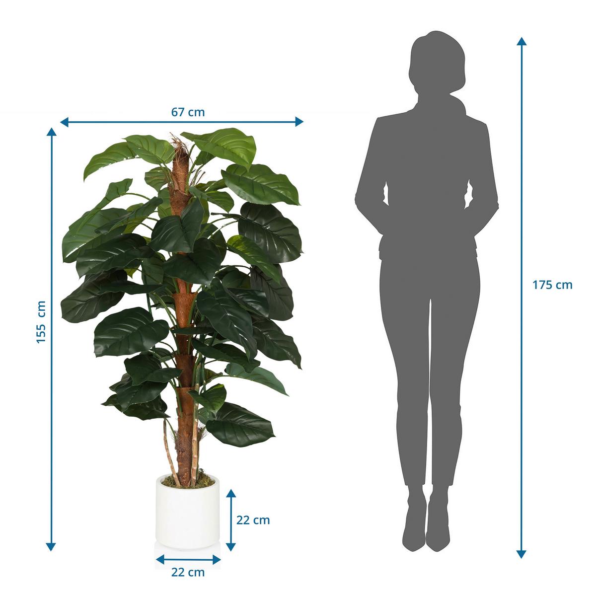 Kunstpflanze Braun/grün B: 67 Cm - Weiß/Braun, MODERN, Kunststoff (67/155/60cm) - MID.YOU