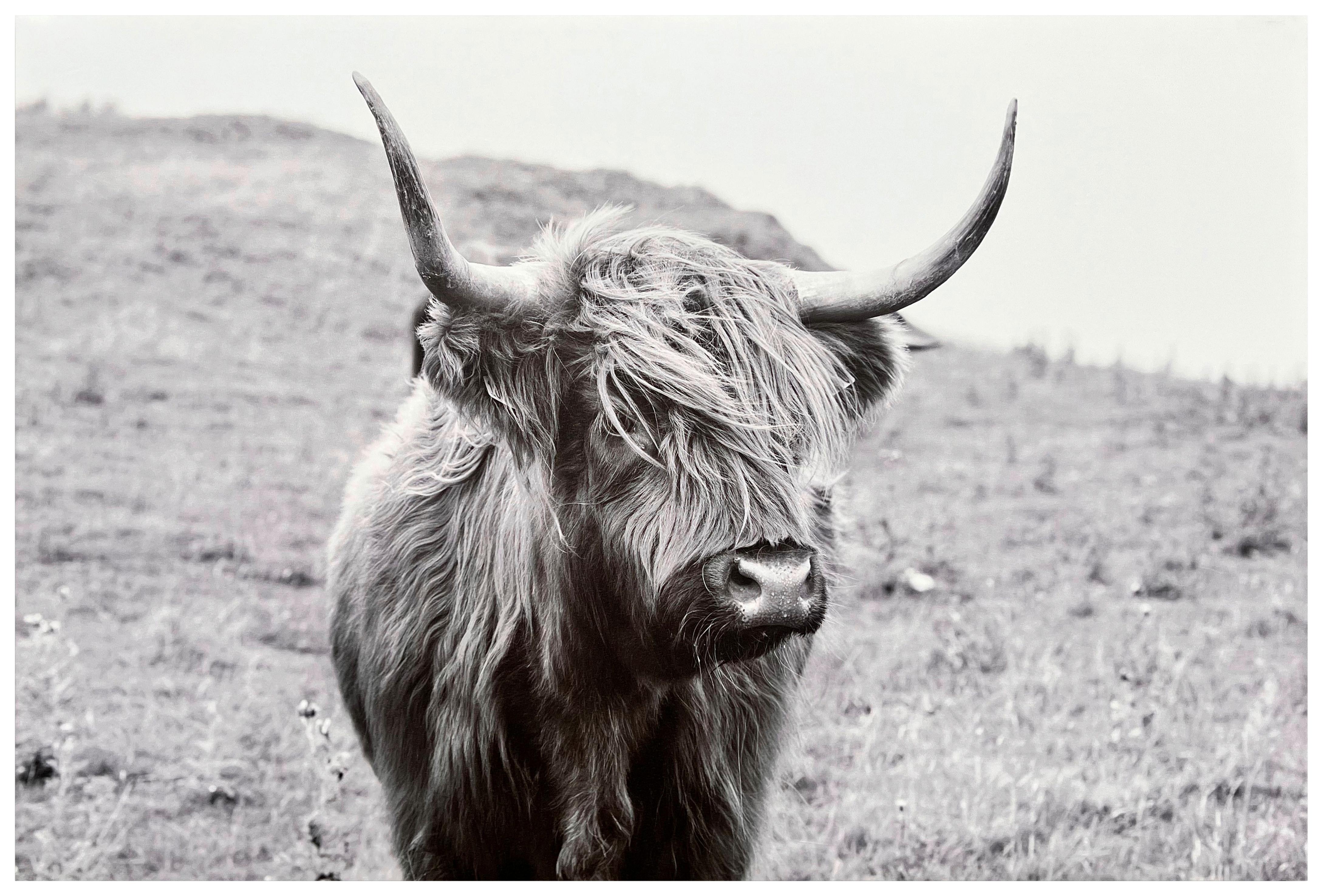 Leinwandbild Herbert - Naturfarben/Grau, KONVENTIONELL, Holz/Textil (116/78/2,3cm) - James Wood