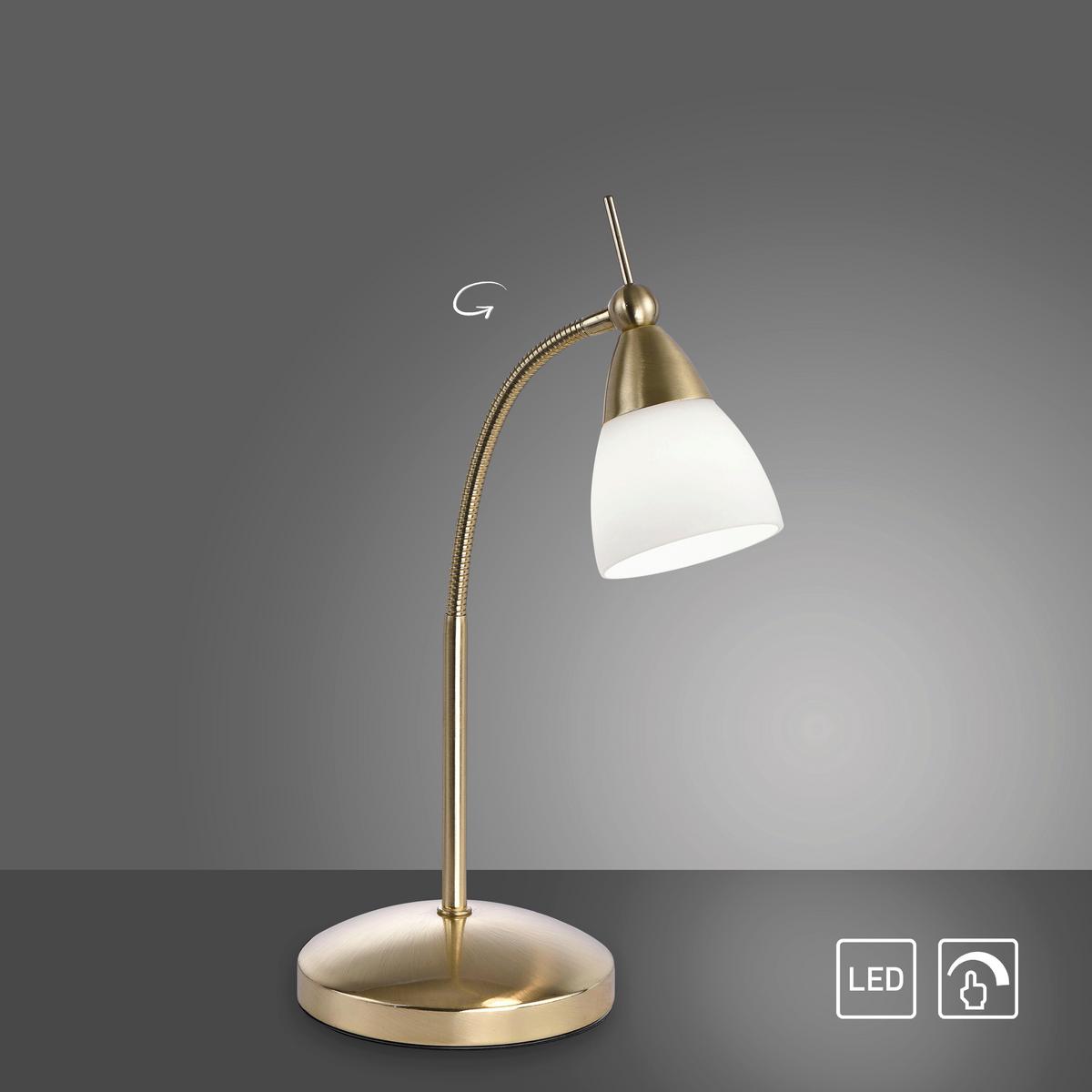LED-Tischleuchte 4001-60 Pino - Messingfarben, Basics, Glas/Metall (30/30/45cm) - Paul Neuhaus