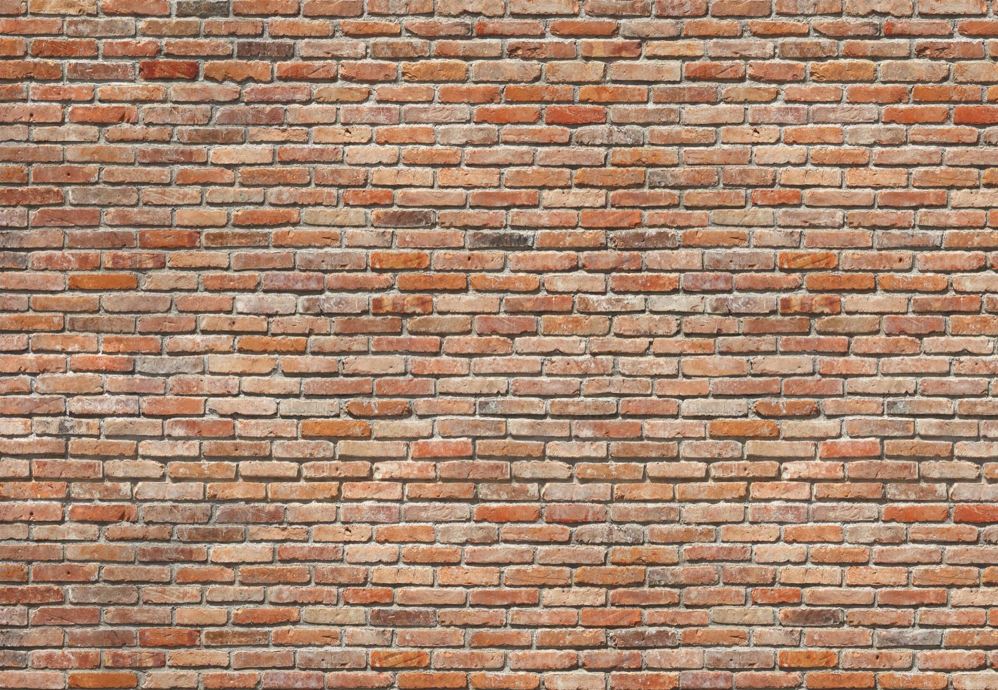 Fototapete 8-741 - Terracotta, KONVENTIONELL, Papier (368/254cm)