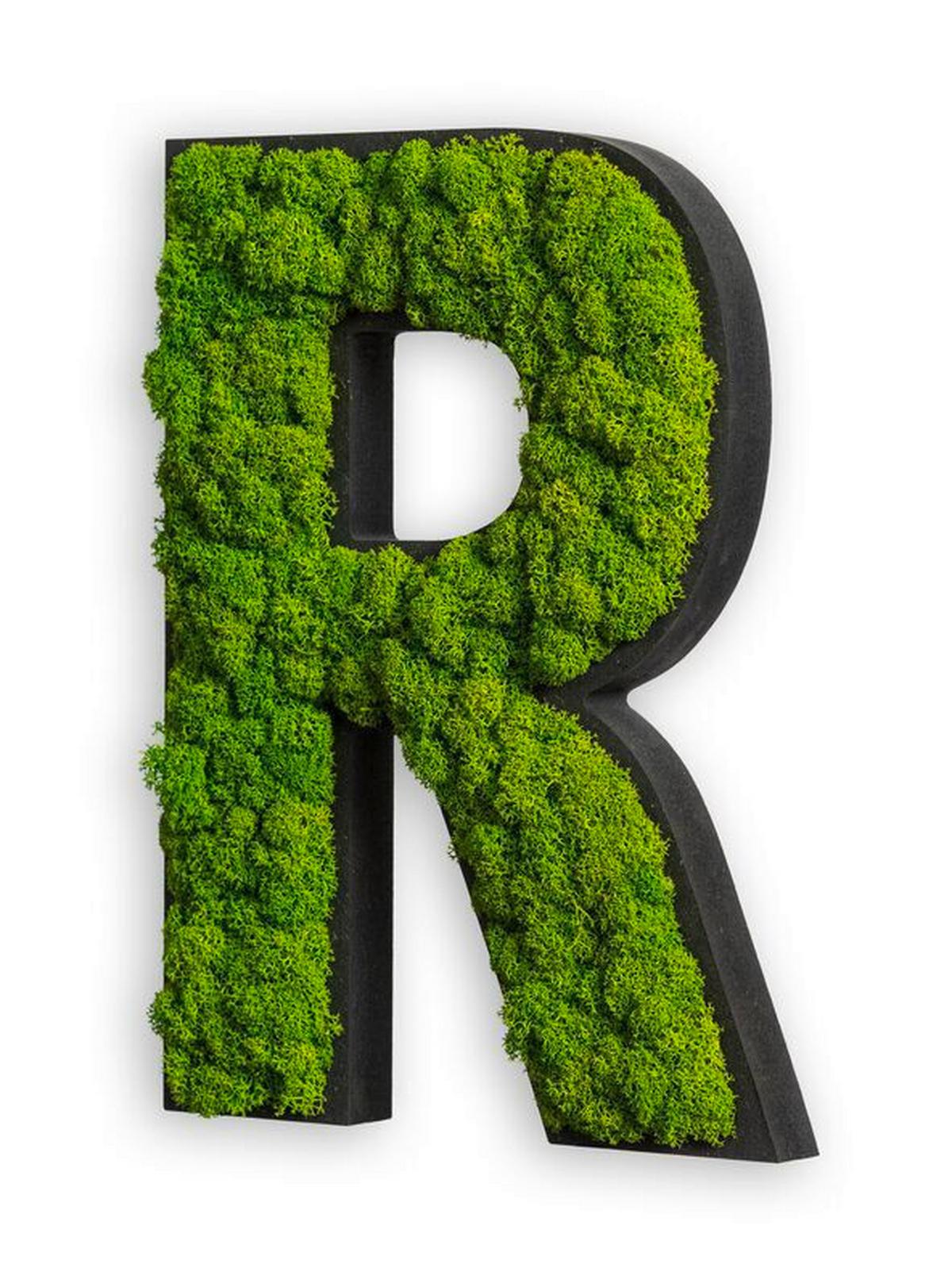 Moosbild Grün B: 25 cm - Schwarz/Grün, Basics, Naturmaterialien/Holz (25/19/4cm)