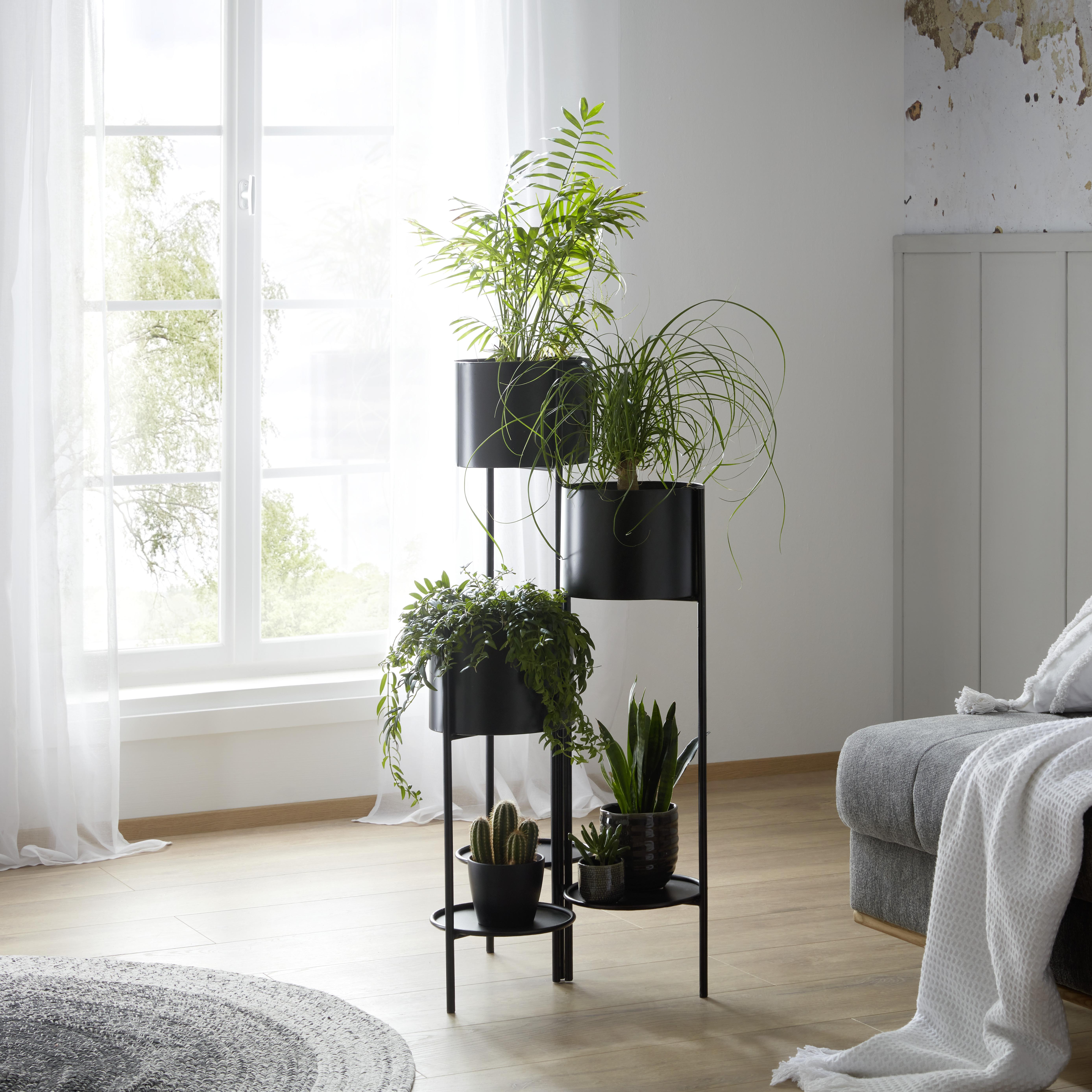 Obal Na Květináč Olio, V: 99,5cm - černá, Moderní, kov (47/45,5/99,5cm) - Modern Living