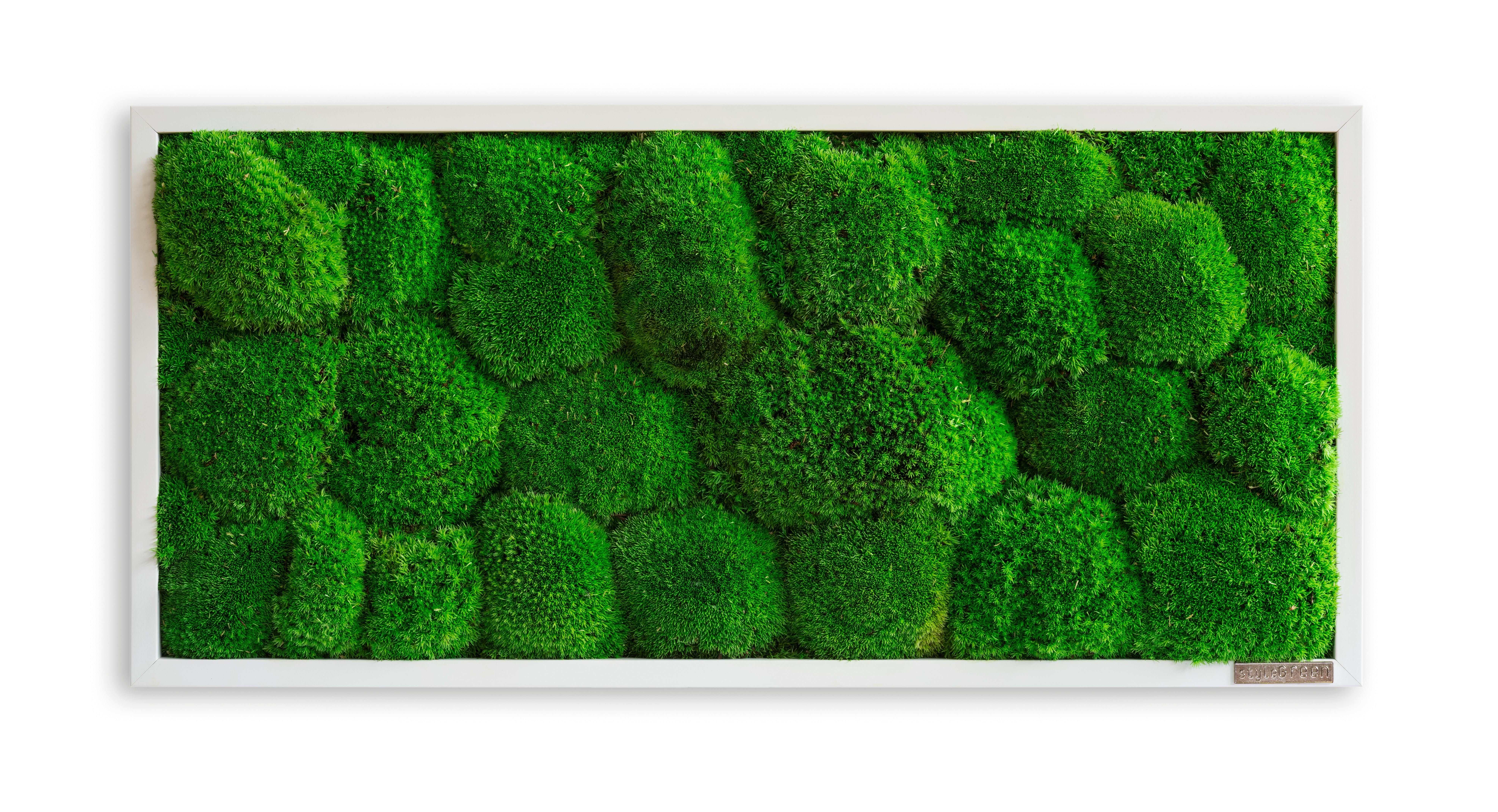 Machový obraz, rastliny, zelená, 57 cm, 27 cm, 7 cm