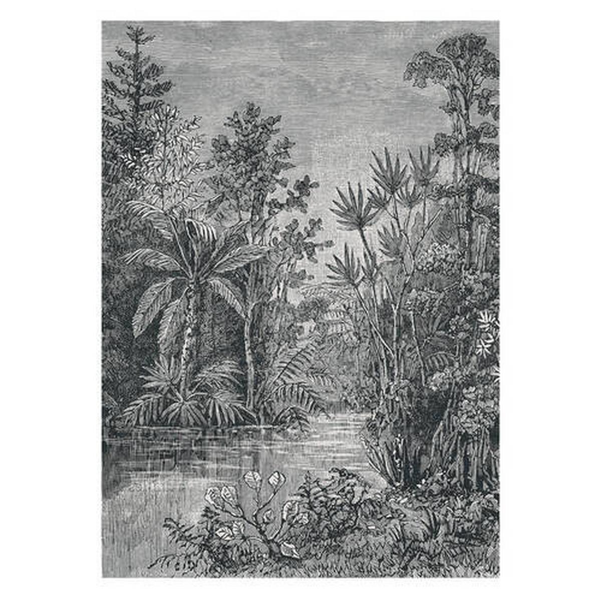 Fototapete Dschungel - Schwarz/Weiß, Basics, Papier/Kunststoff (200/280cm)