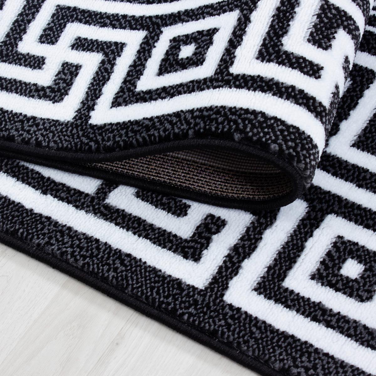 Webteppich Schwarz/Weiß Naturfaser Parma 160x230 cm - Schwarz/Weiß, KONVENTIONELL, Textil (160/230cm)
