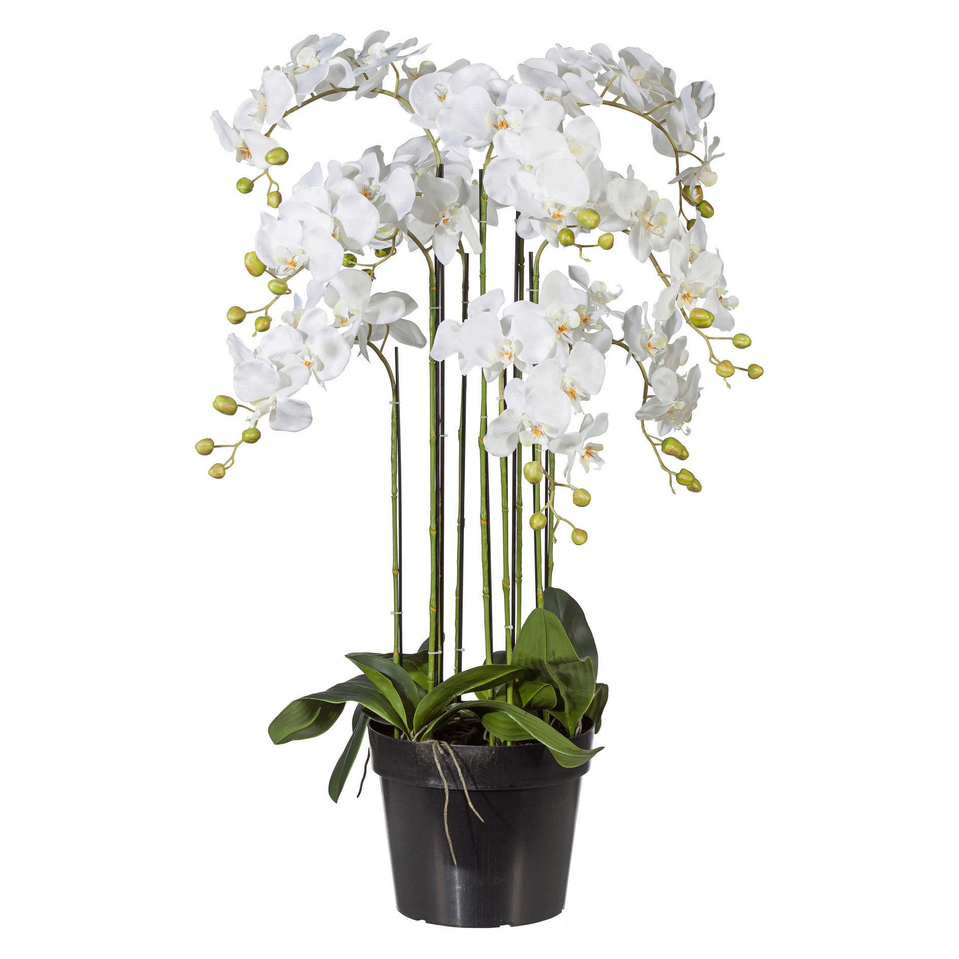 Kunstpflanze Orchidee Weiß H: 110 Cm Mit Topf - Weiß/Grün, Basics, Kunststoff (110cm) - P & B