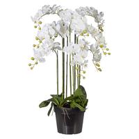 Kunstpflanze Orchidee Weiß H: 110 Cm Mit Topf - Weiß/Grün, Basics, Kunststoff (110cm) - P & B