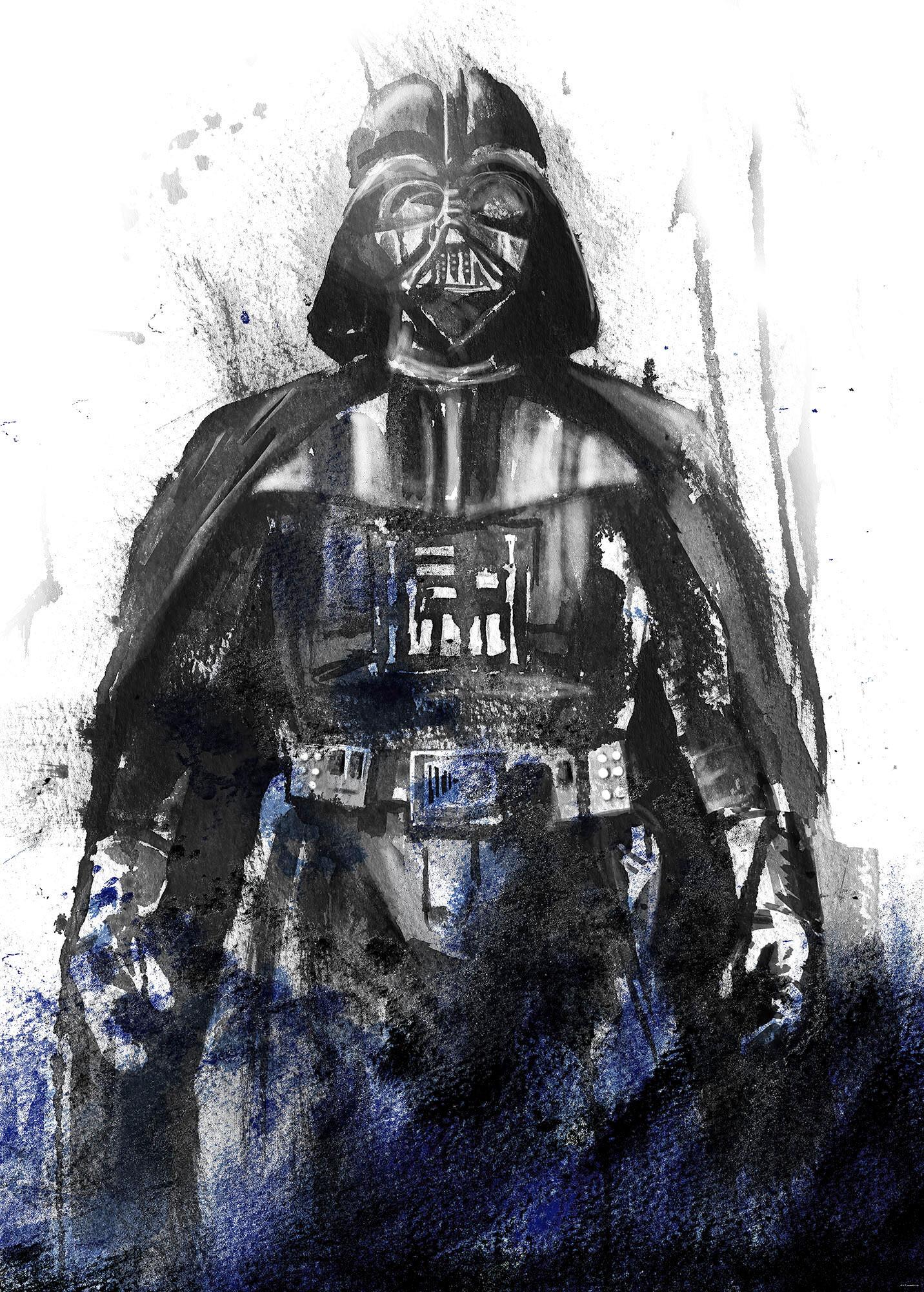 Fototapete Star Wars Watercolor Vader - Schwarz/Weiß, Trend, Textil (200/280cm)