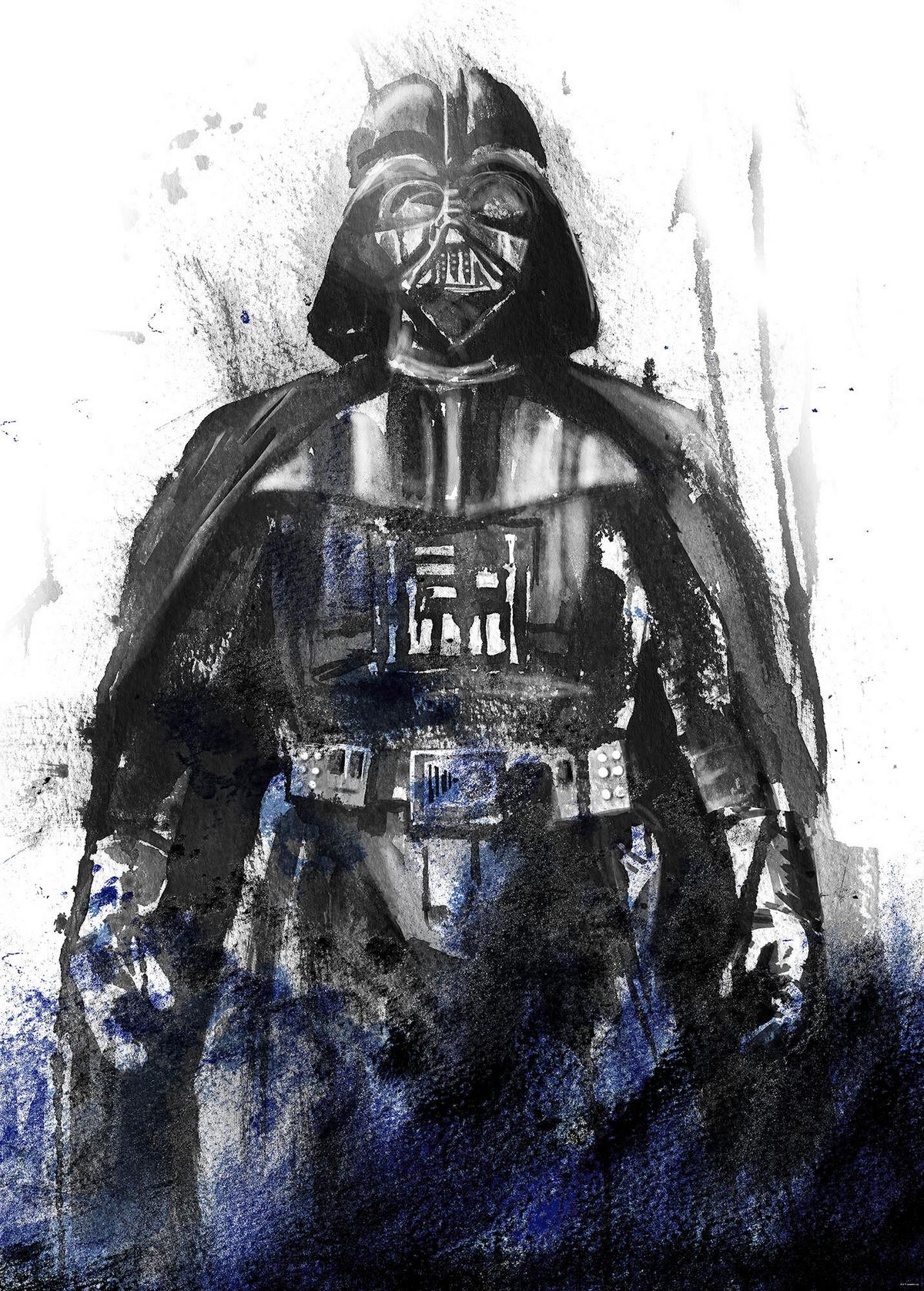 Fototapete Star Wars Watercolor Vader - Schwarz/Weiß, Trend, Textil (200/280cm)