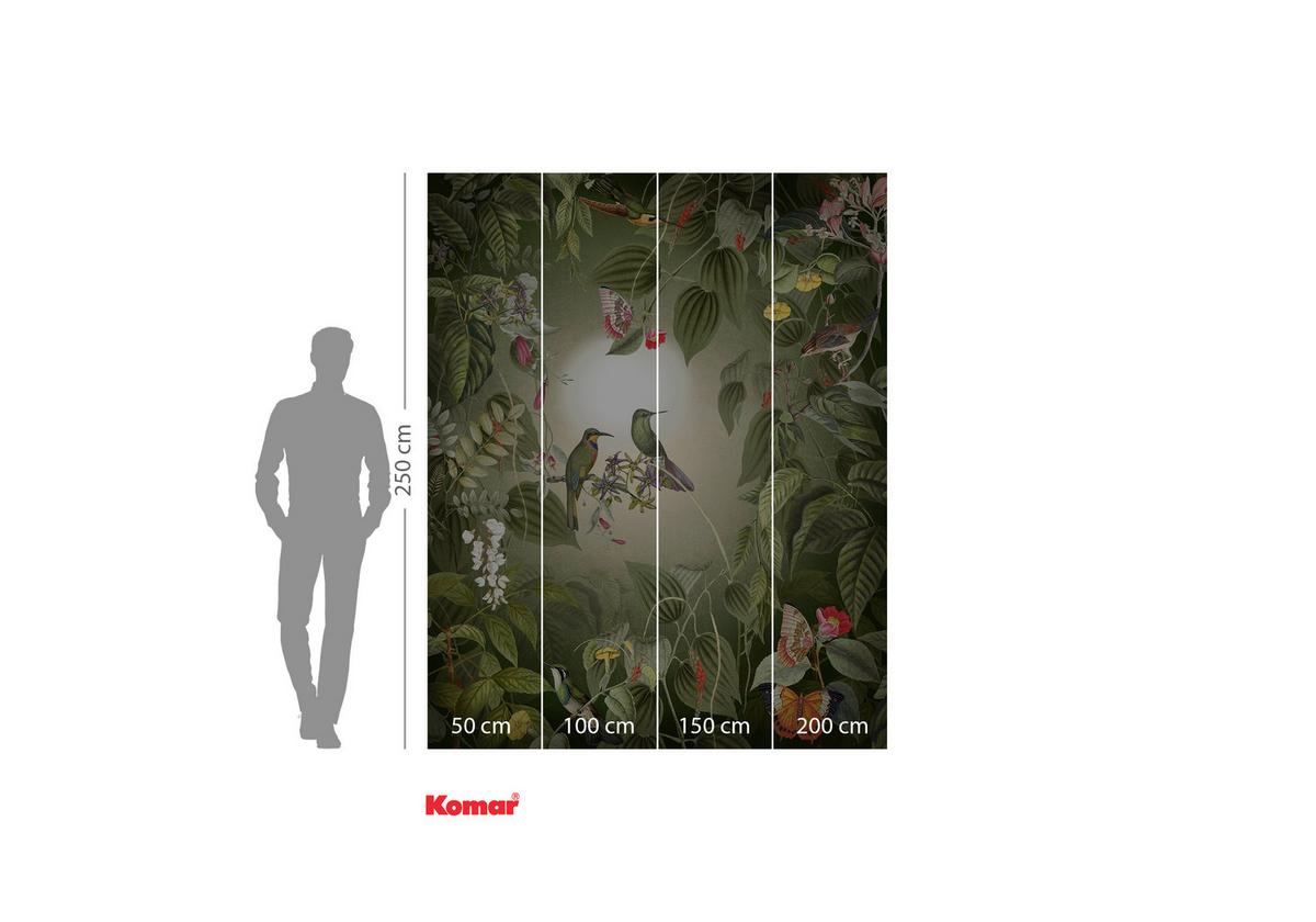 Vliestapete Wildlife Birds - Multicolor, Basics (200/250cm) - Komar