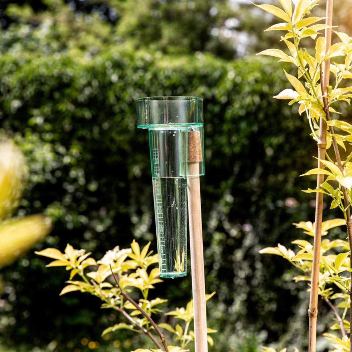 Regenmesser Profi Grün/ Transparent - Transparent/Grün, Basics, Kunststoff (23cm)