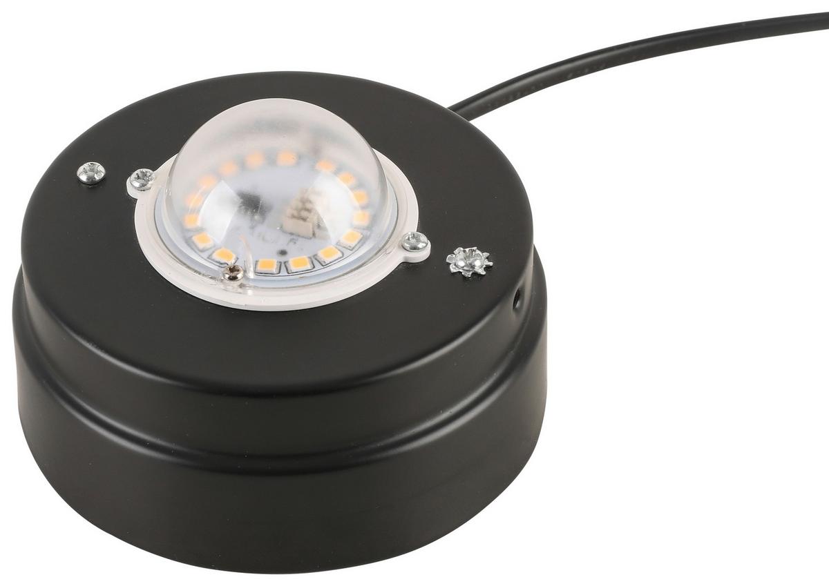 Stolná LED lampa BLOH - čierna/chrómová, Modern, kov/sklo (10/20cm) - Mömax