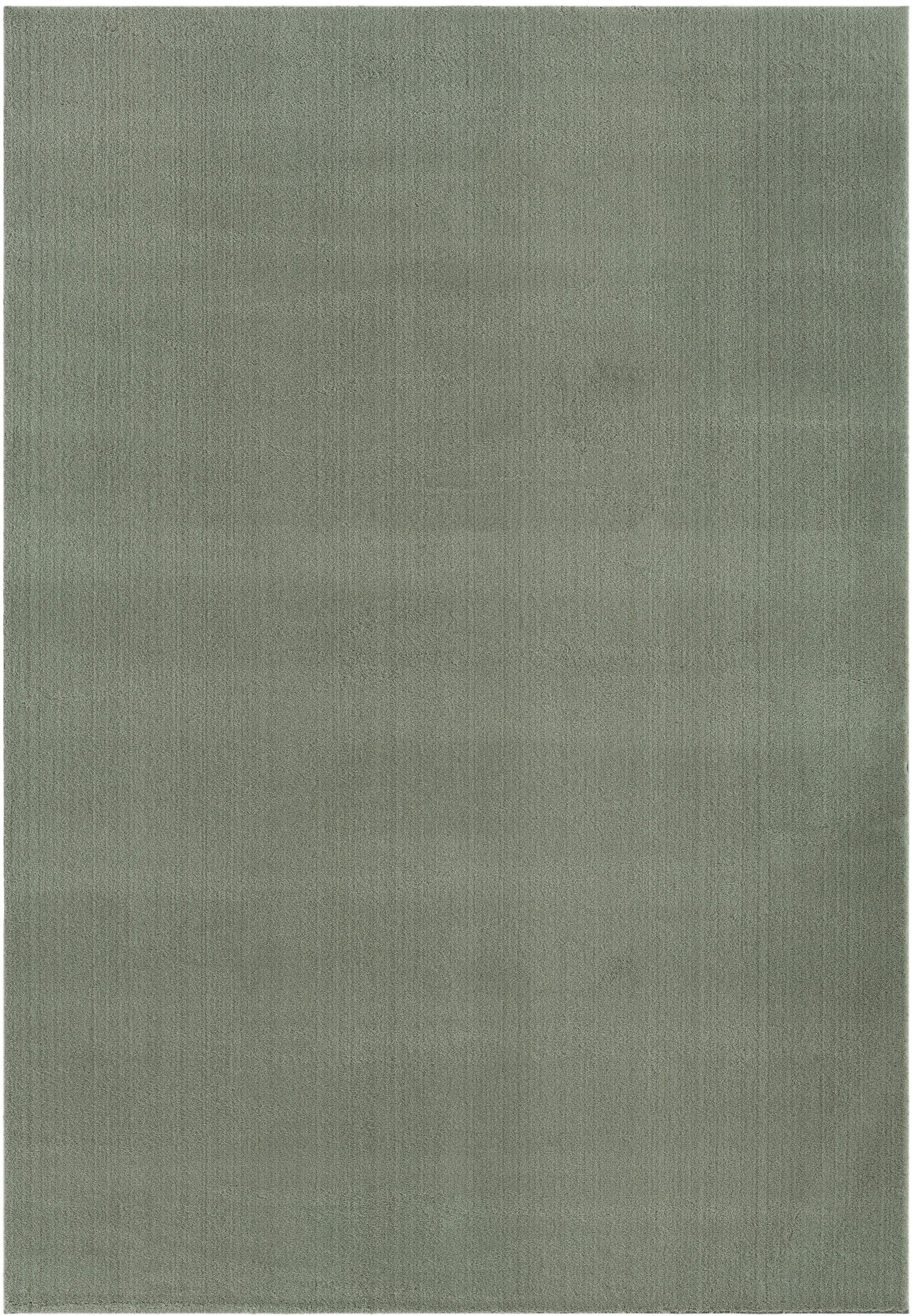 Fellteppich Melisander Grün 100x150 cm - Grün, Basics, Textil (100/150cm) - Luca Bessoni