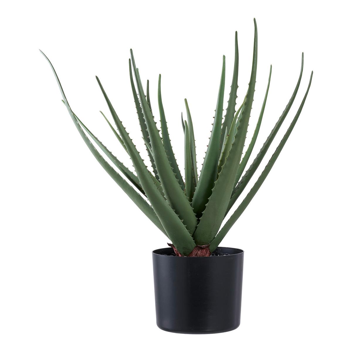 Kunstpflanze Aloe Vera Grün B: 30,5 cm - Grün, Design (30.5/51/30.5cm)