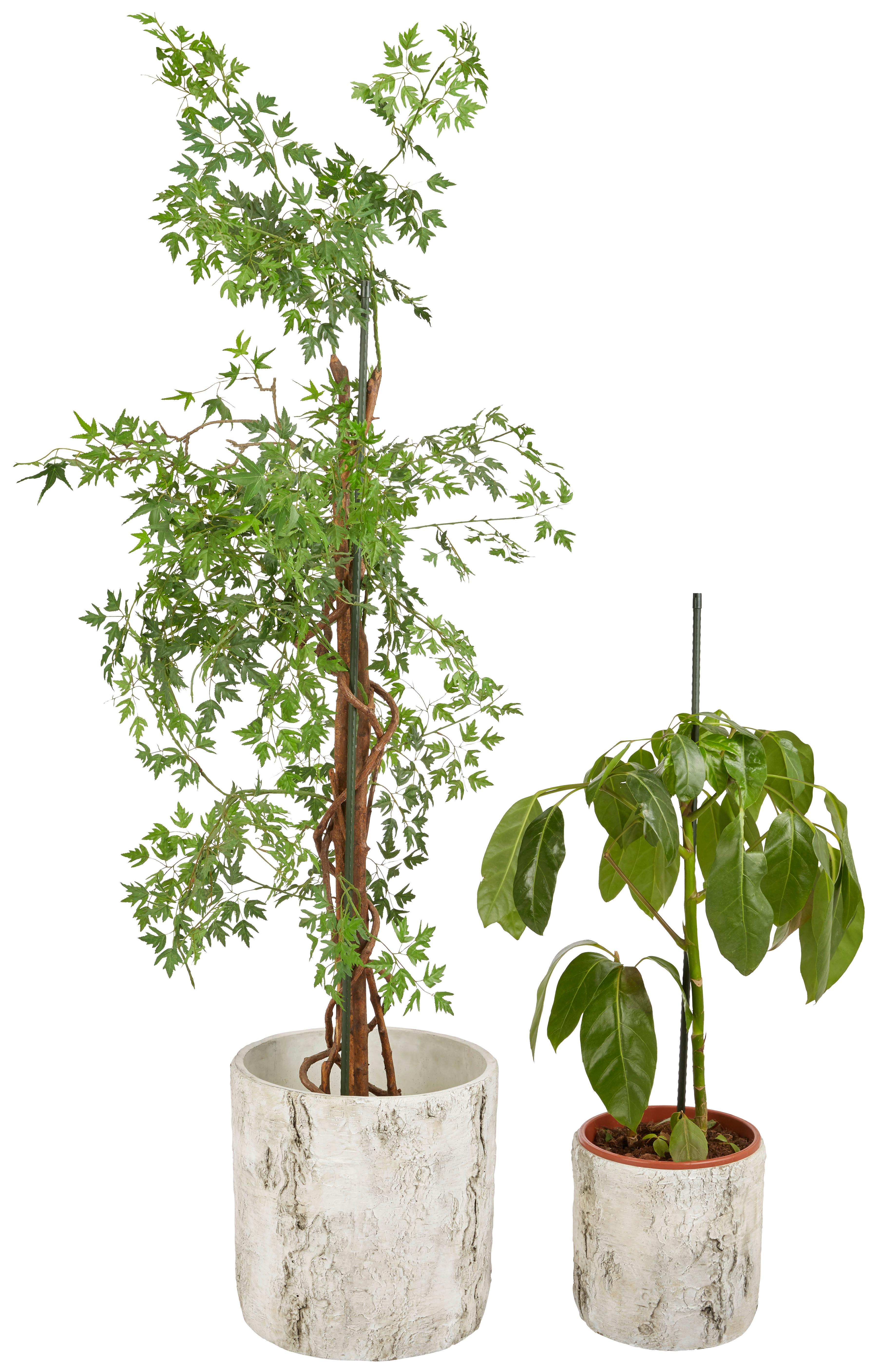 Pflanzstab Gardtech Metall 90 Cm Kunststoffummantelt Grün - Grün, KONVENTIONELL, Kunststoff/Metall (1,1/90cm) - Homezone