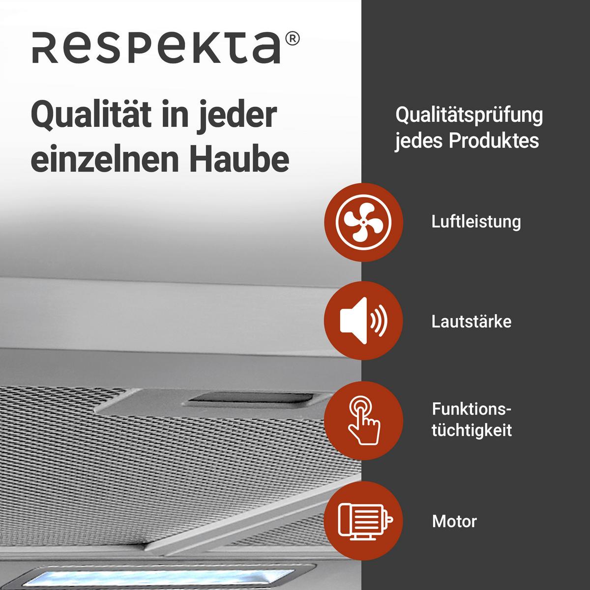 Dunstabzugshaube Respekta Nola Edelstahlfarben B: 60 Cm - Edelstahlfarben, Trend, Metall (60/58-96/47,5cm) - Respekta