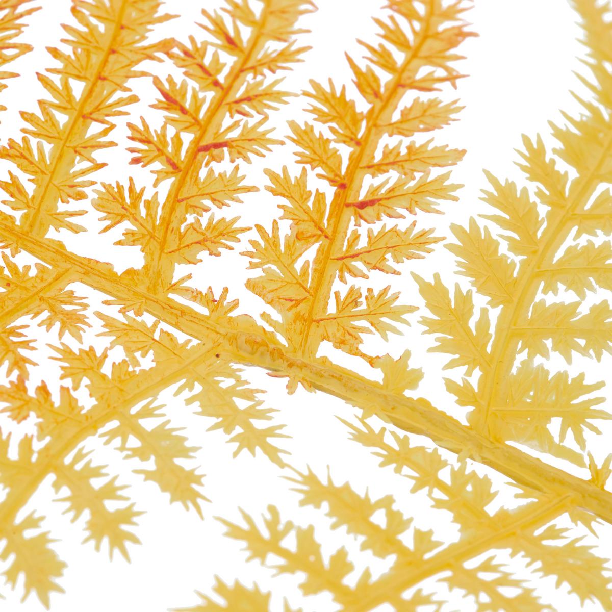 Umelá rastlina PLUMOSUS I -PAZ- - žltá/krémová, Basics, kov/plast (80cm) - Mömax