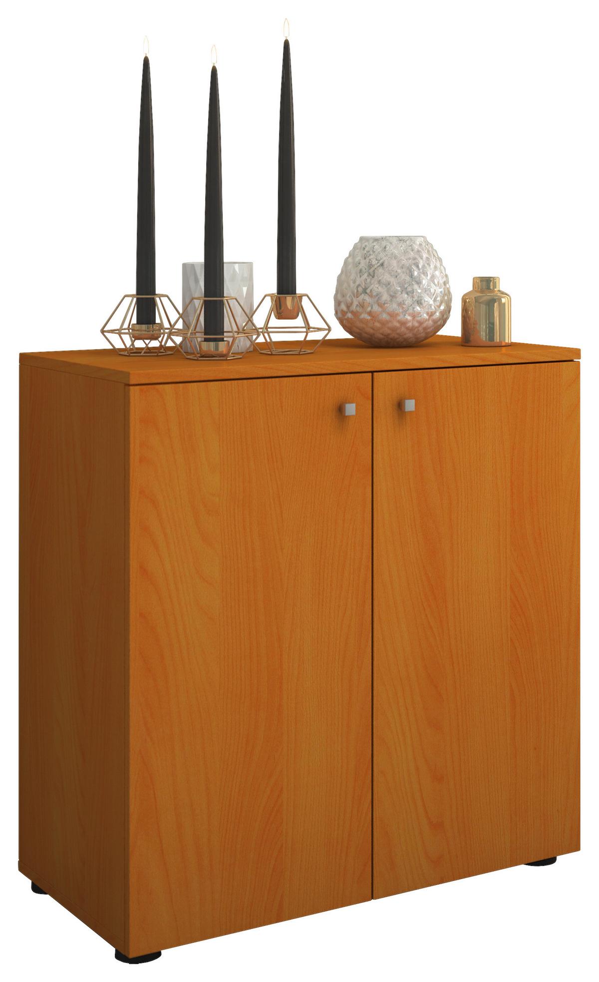 Dvoudveřová komoda Vandol Mini dekor buk - černá/barvy stříbra, Basics, kompozitní dřevo/plast (70/74/40cm) - Livetastic