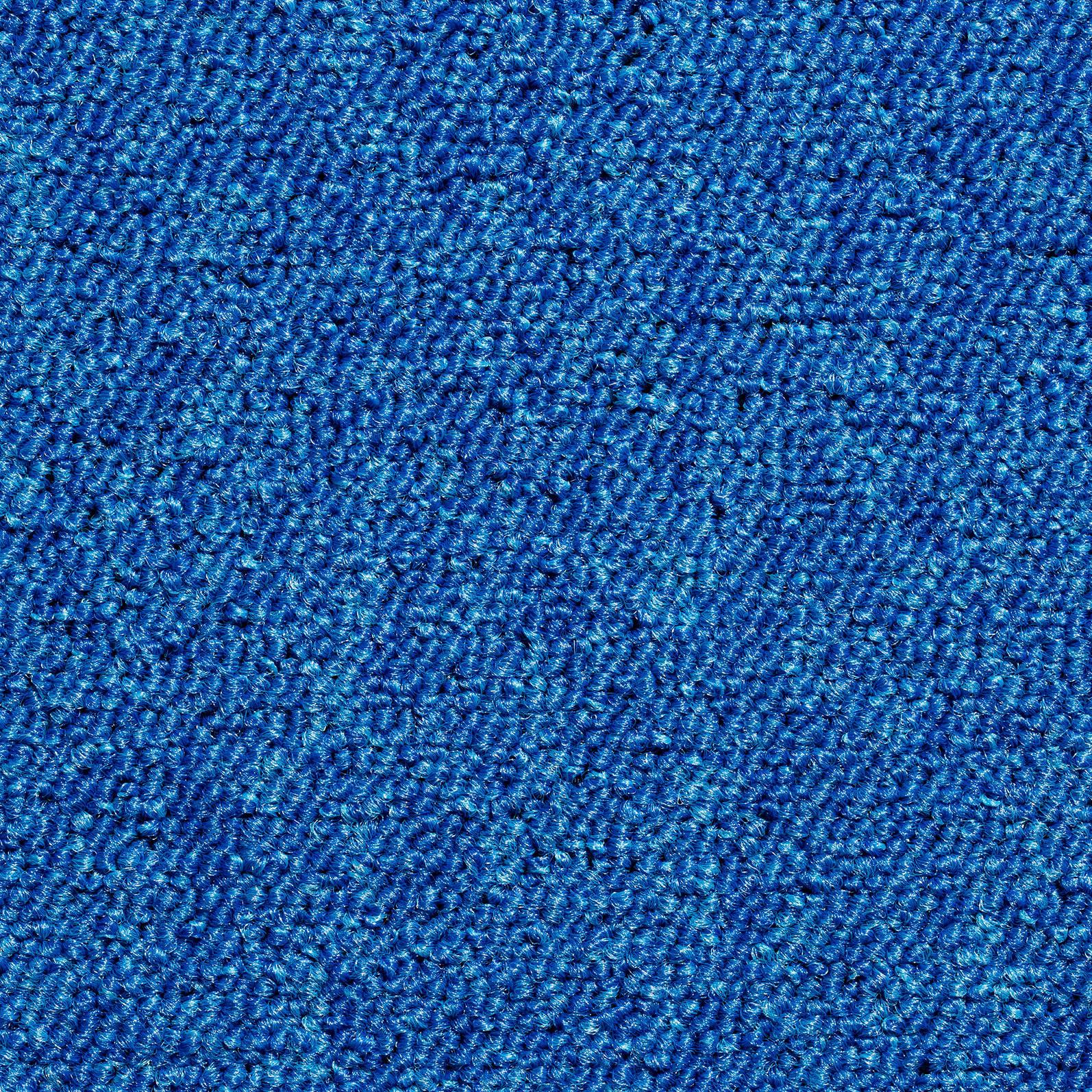 Teppichfliese Blau Mustang 50x50 cm Florhöhe 3 mm - Blau, Basics, Textil (50/50cm)