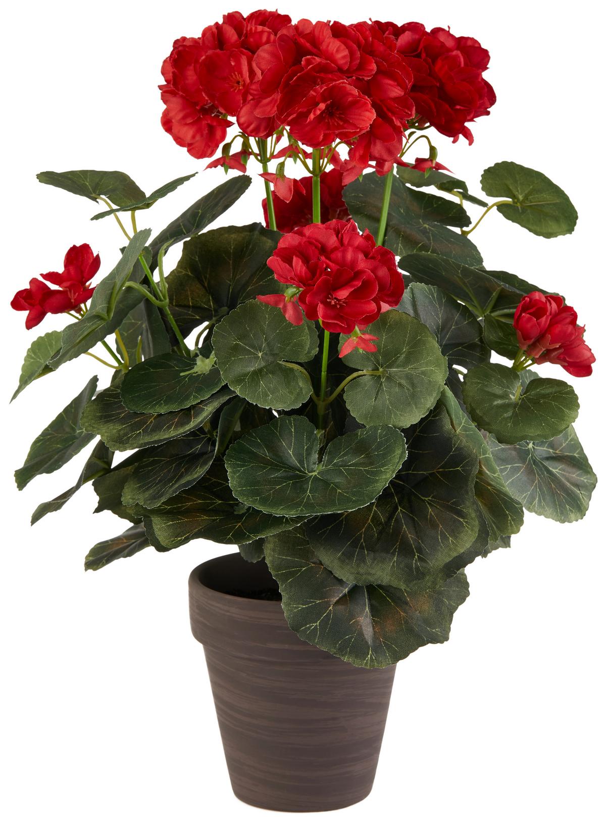 Művirág Gisi - barna/rózsaszín, Modern, műanyag/kerámia (16/36cm) - Luca Bessoni