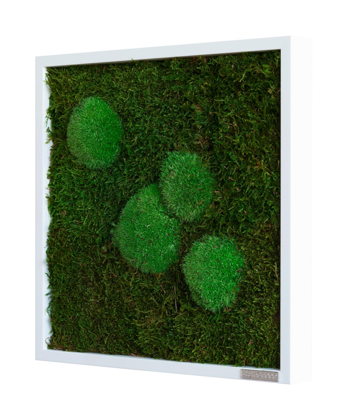 Machový obraz, rastliny - biela/zelená, Basics, drevo/prírodné materiály (35/35/6cm)