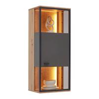 ZÁVĚSNÁ VITRÍNA FLORENZ - šedá/černá, Moderní, kov/kompozitní dřevo (50/119,9/38cm) - Premium Living